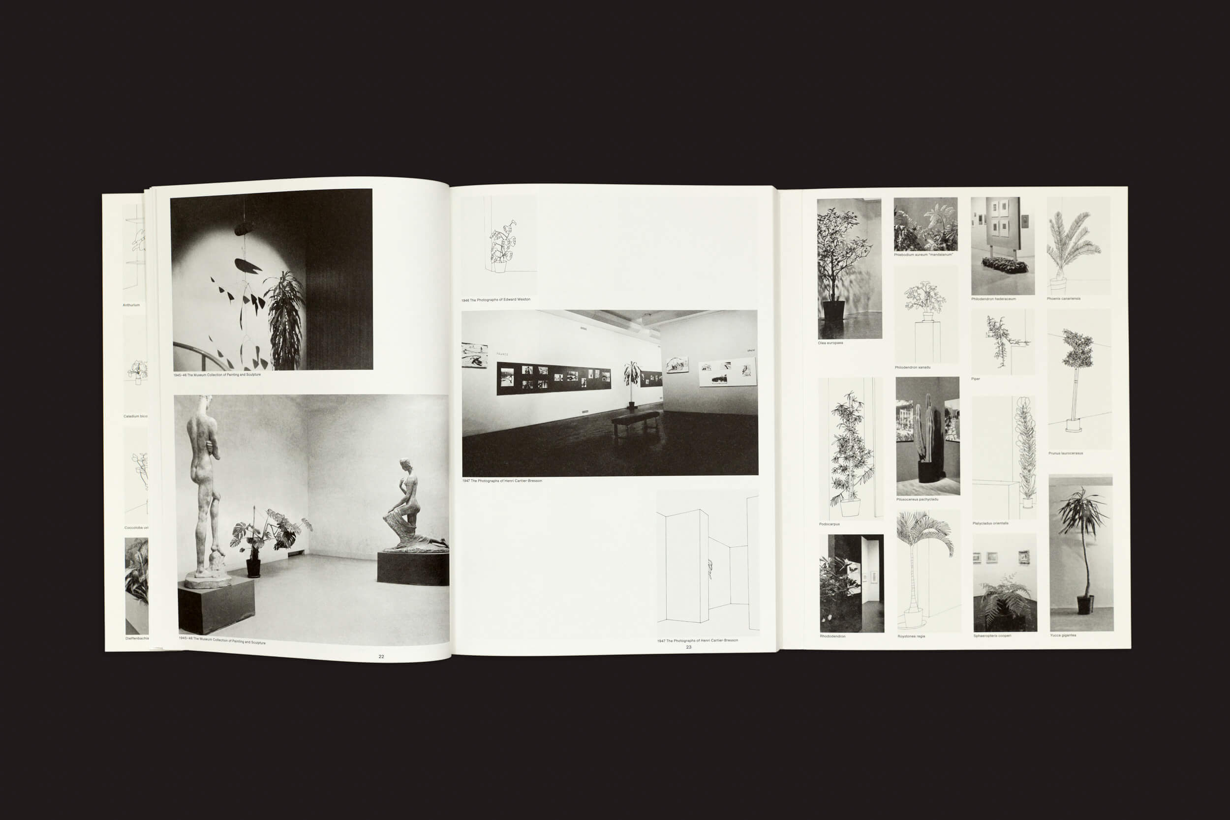 Inge Meijer: The MoMA Plant Collection, da Roma Publications, é um livro de arte com imagens em preto e branco de esculturas e instalações nas páginas da esquerda, que lembram a MoMA Plant Collection, enquanto a da direita apresenta arranjos de plantas e esboços sobre um fundo escuro que evoca Mark Rothko.