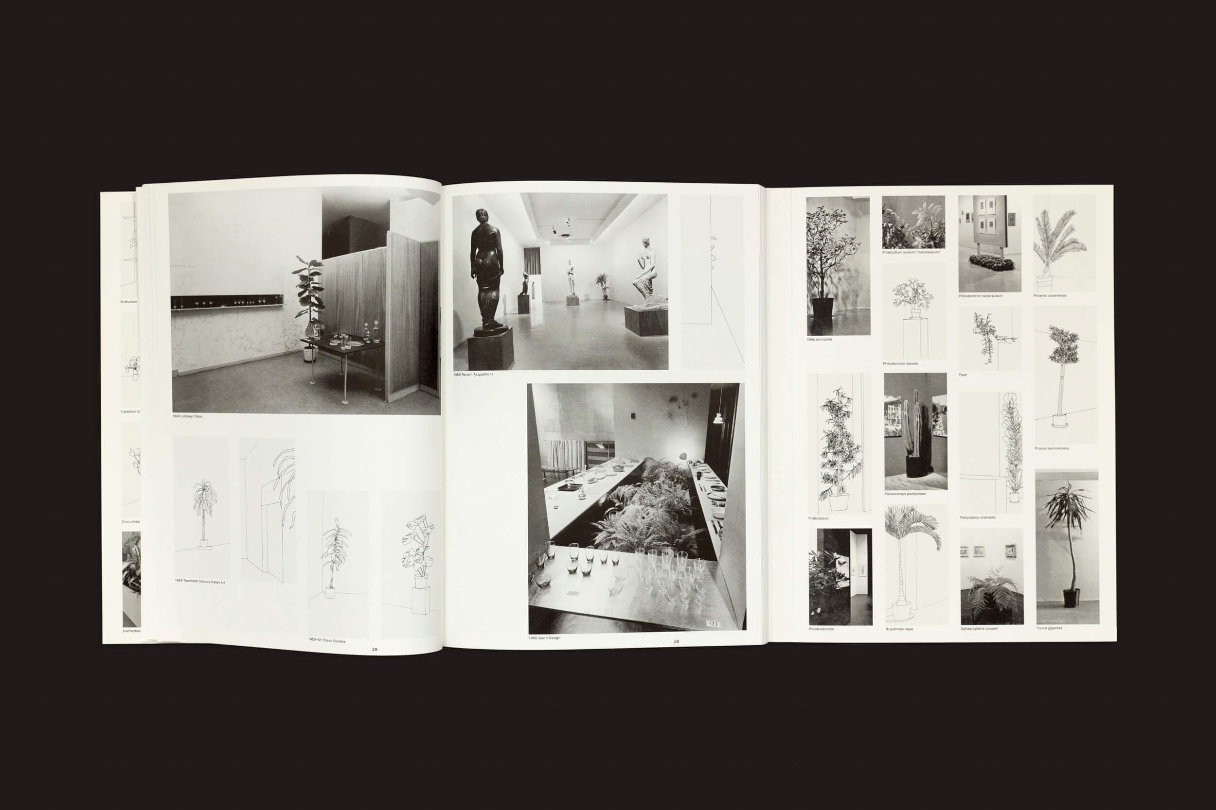 Um livro aberto exibe fotos e diagramas em preto e branco, exibindo plantas de interior de Inge Meijer: The MoMA Plant Collection, da Roma Publications, juntamente com esculturas e modelos arquitetônicos em três páginas sobre um fundo escuro.