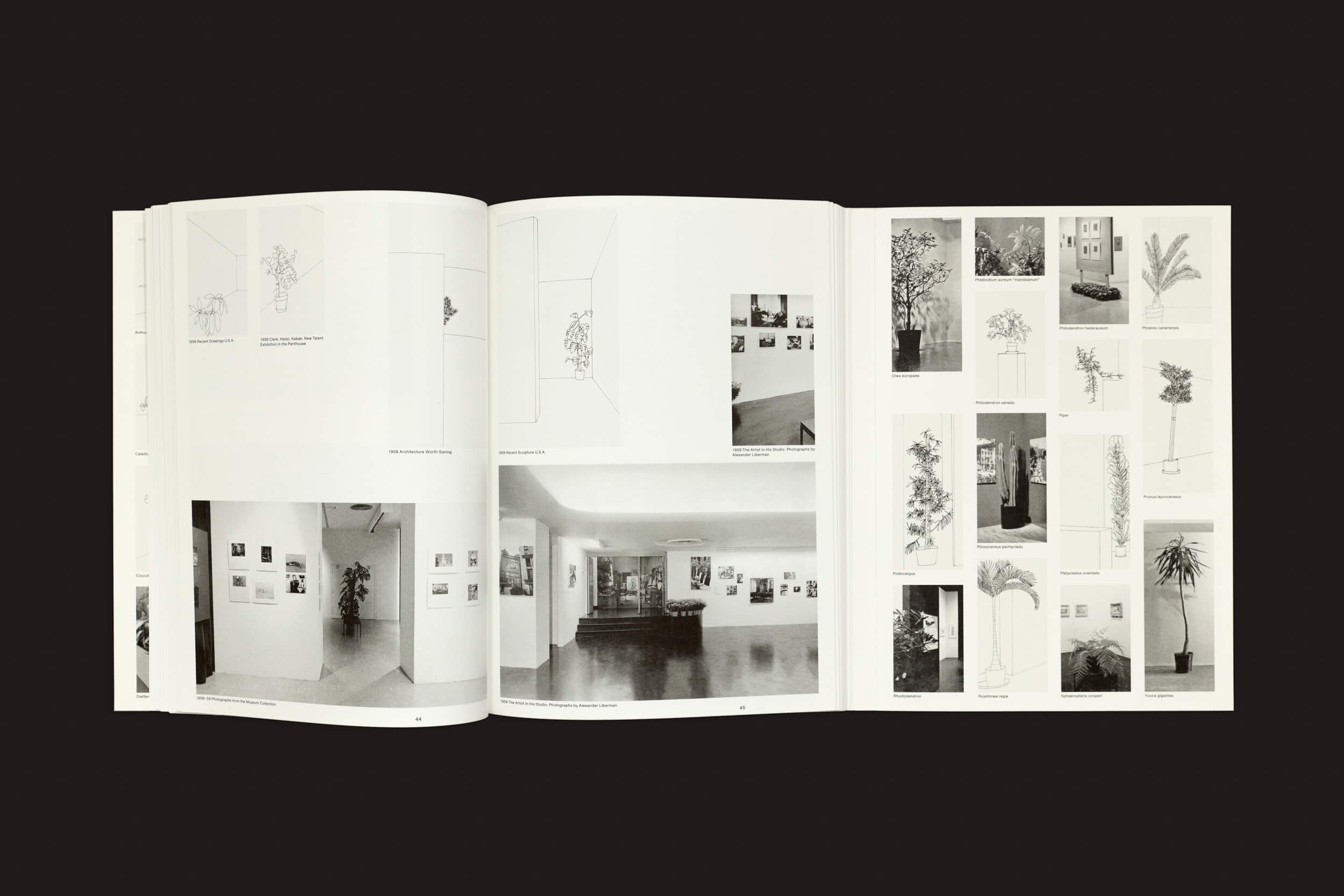 Um livro aberto exibe fotos em preto e branco sobre um fundo escuro, com fotos do interior com obras de arte de Mark Rothko e imagens de Inge Meijer: The MoMA Plant Collection da Roma Publications, juntamente com esboços esquemáticos.