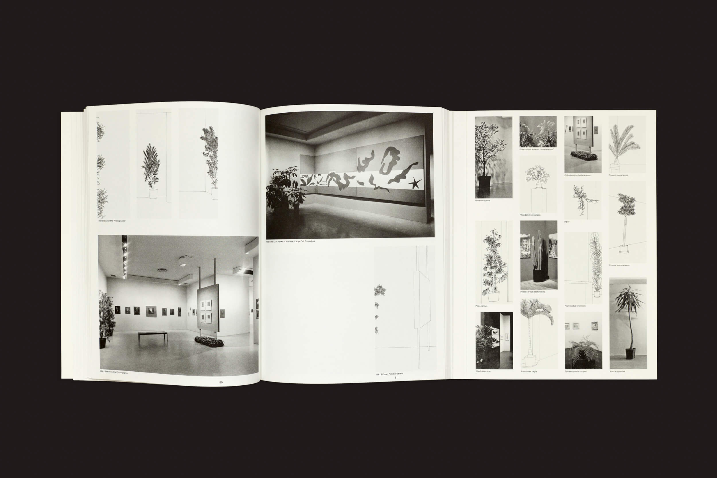 Um livro aberto contra um fundo escuro exibe fotos em preto e branco de plantas e espaços de galeria com esculturas. A página da esquerda apresenta grandes imagens de plantas, enquanto a da direita exibe vários arranjos de plantas que lembram The MoMA Plant Collection de Inge Meijer pela Roma Publications em diferentes visualizações de galeria.
