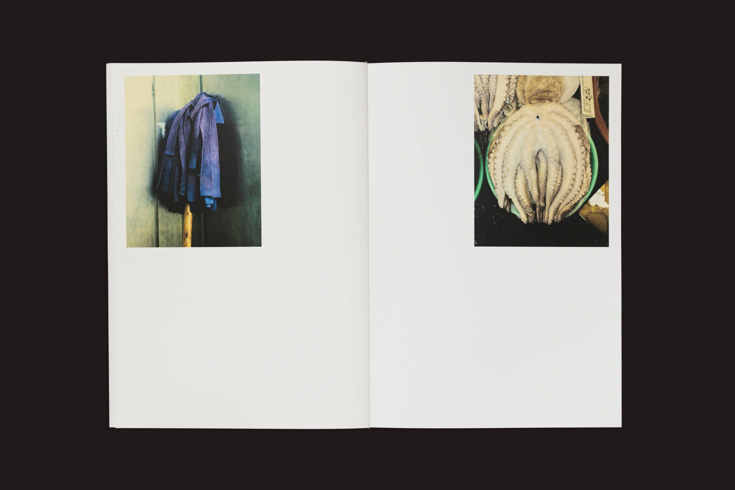 O livro aberto Eduard Sánchez Ribot: Tierra, Camino, Fruto, da Handshake, traz uma foto de uma jaqueta azul presa a ganchos na página esquerda e um close-up de um polvo na direita, ambos contra um fundo preto — uma viagem intrigante pela narrativa visual.