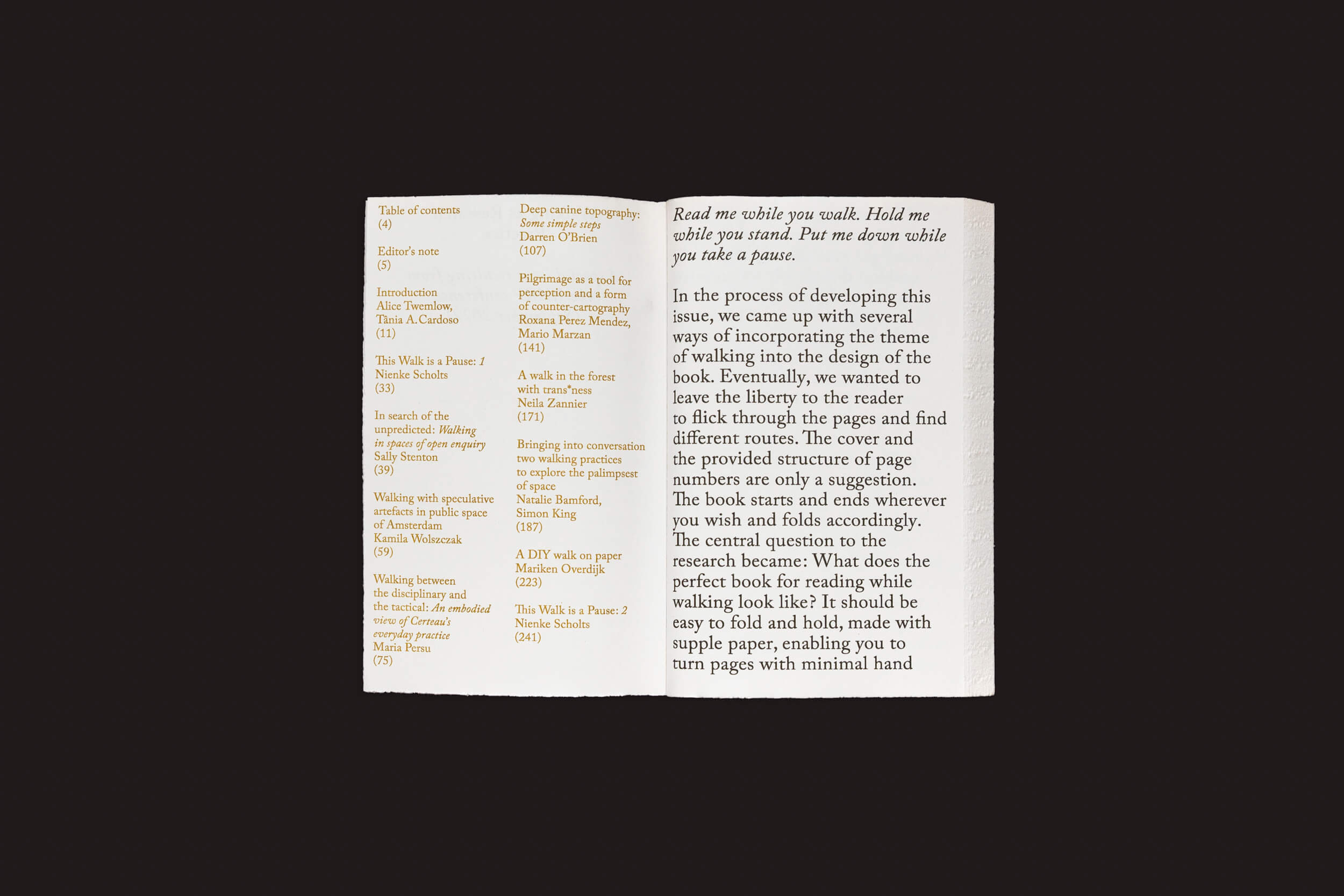 Sobre um fundo preto, um livro aberto mostra o índice de Alice Twemlow, Tânia A. Cardoso: Walking as Research Practice da Roma Publications à esquerda e uma introdução à direita sobre seu design e desenvolvimento. O texto limpo e pequeno convida os leitores a embarcar nessa caminhada única.