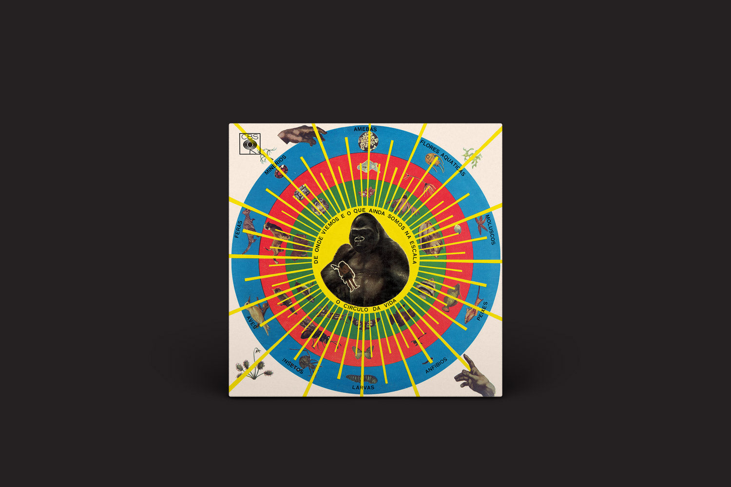 Pedro Santos: Krishnanda – GOMA®