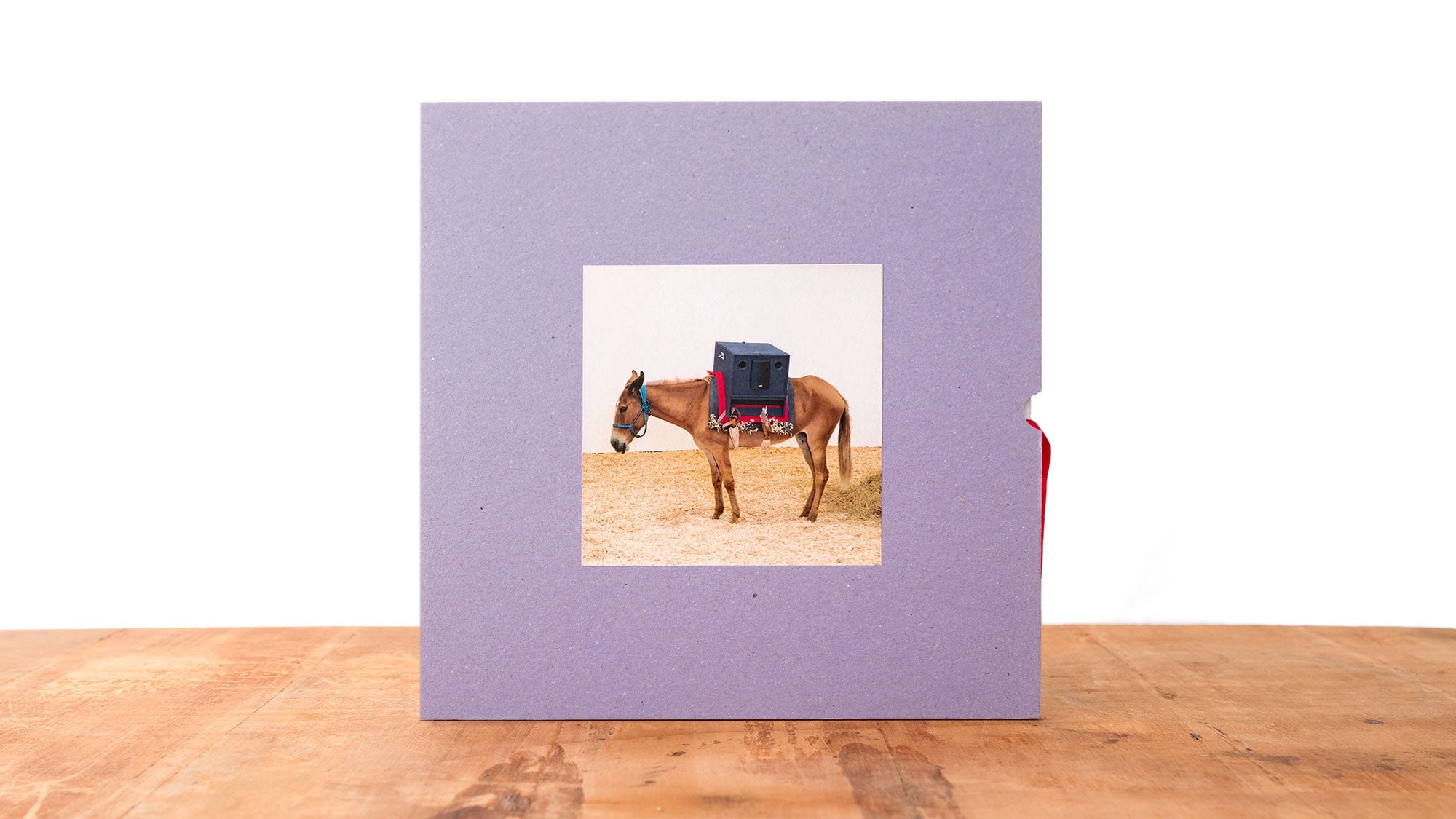 Um álbum de fotos quadrado, na cor lavanda, repousa sobre uma superfície de madeira. A capa apresenta a foto de um burro carregando um dispositivo semelhante a uma caixa nas costas, em pé sobre grama seca, sobre um fundo liso.