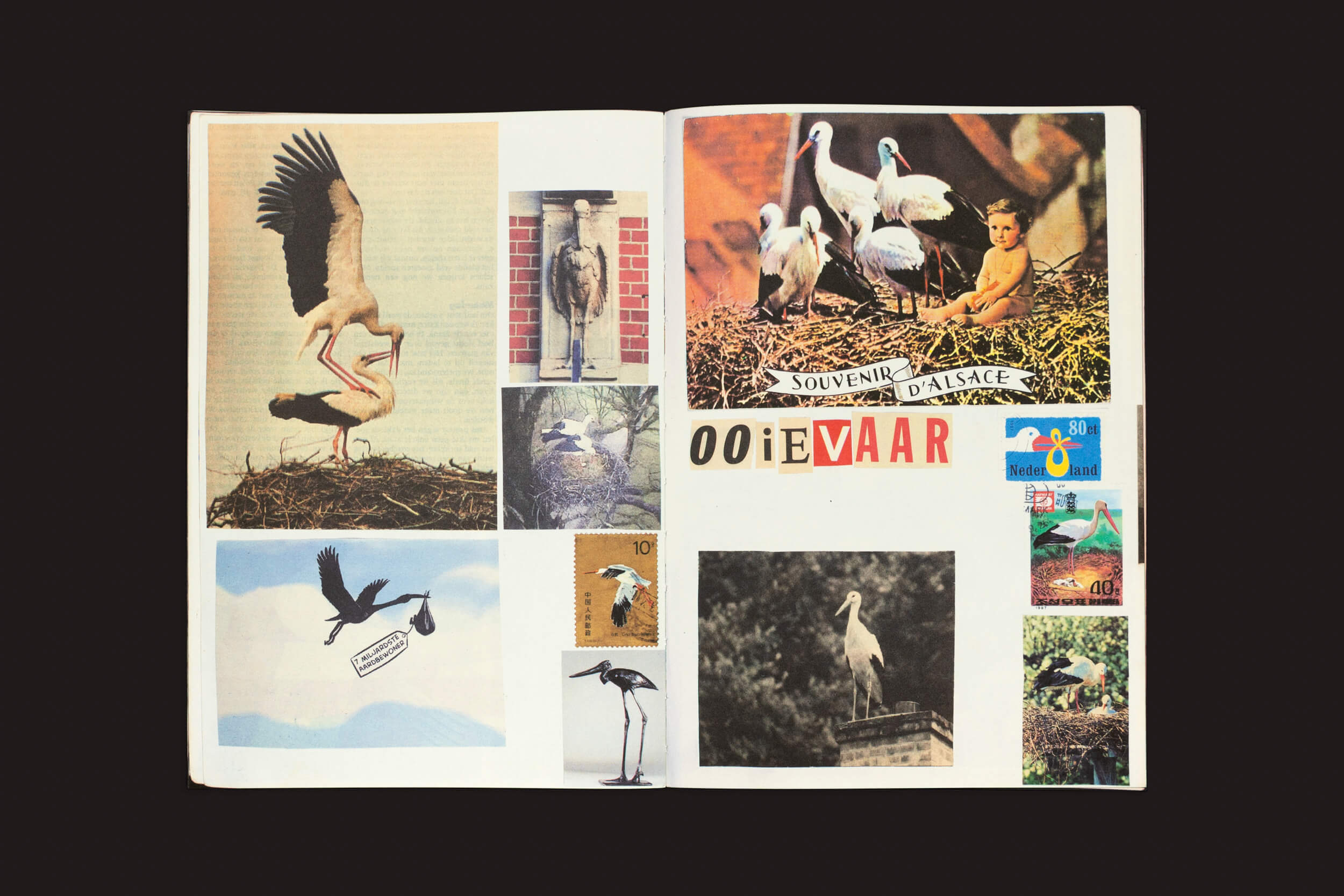 Explore Lous Martens: Animal Books for Jaap, Zeno, Anna, Julian & Luca da Roma Publications, com imagens e selos temáticos de cegonhas com cenas de cegonhas aninhando, voando e se misturando com pessoas. Inclui textos como SOUVENIR DALSACE e OOIEVAAR, dispostos em uma colagem vibrante contra um fundo escuro.