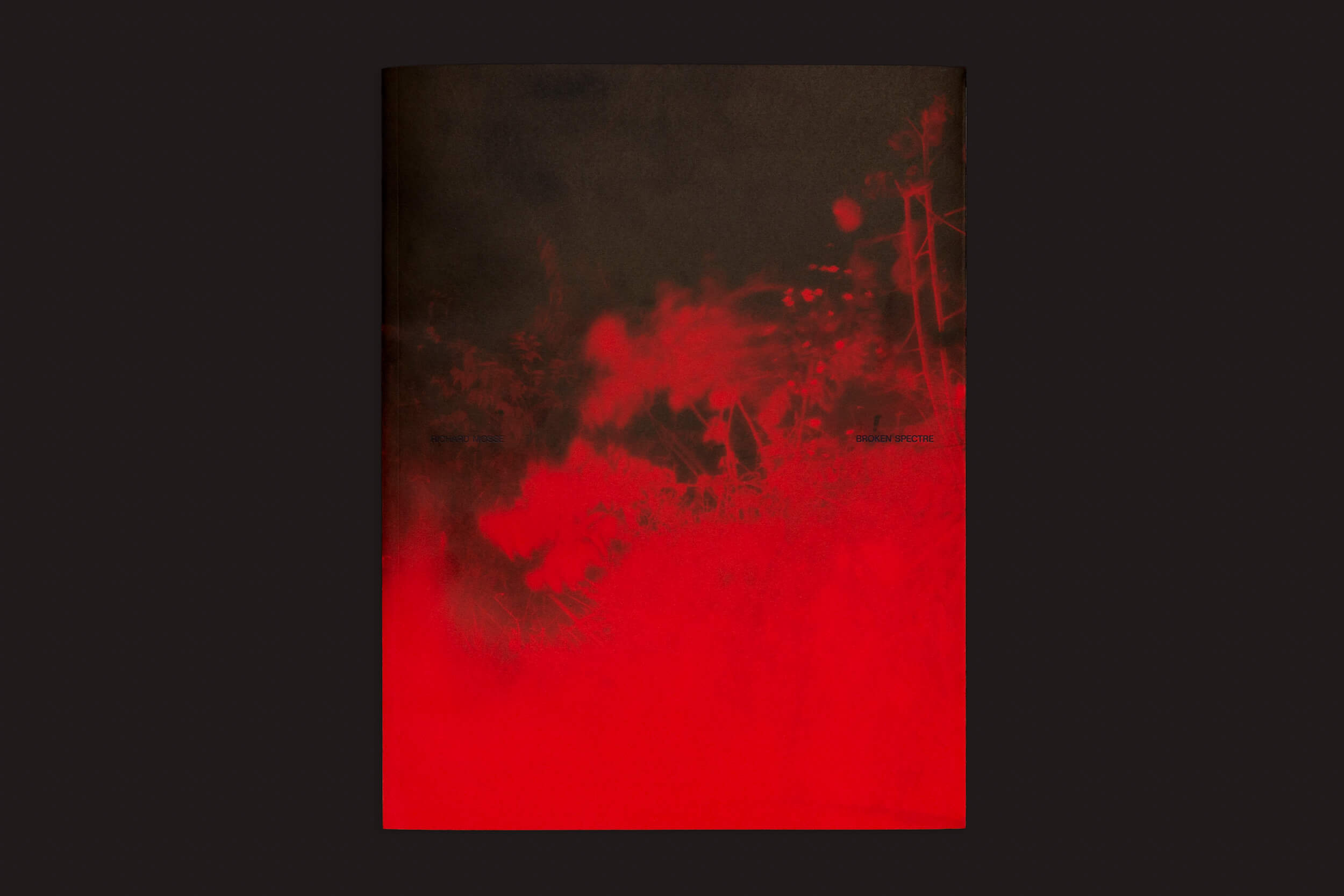 A obra de arte abstrata Richard Mosse: Broken Spectre, de Loose Joints, usa tons de marrom escuro e vermelho brilhante para evocar a destruição da floresta amazônica, misturando cores em um efeito esfumaçado com padrões florais que destacam a beleza perdida em crimes ambientais em uma imagem intensa e marcante.