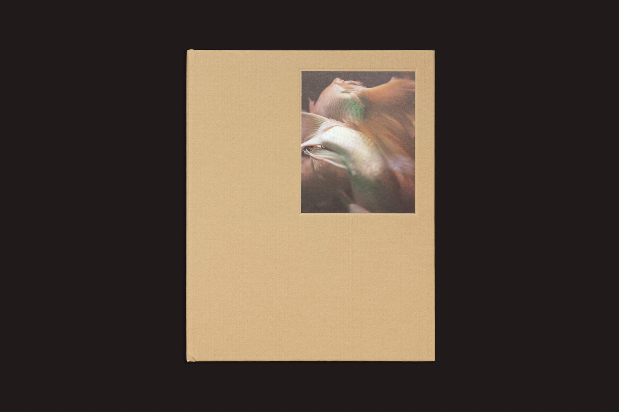 O produto Skinnerboox "Teresa Eng: China Dream" é um livro marrom com uma imagem de capa retangular de peixes abstratos marrons e verdes nadando juntos, sobre um fundo preto sólido que ecoa o tema da identidade fragmentada.