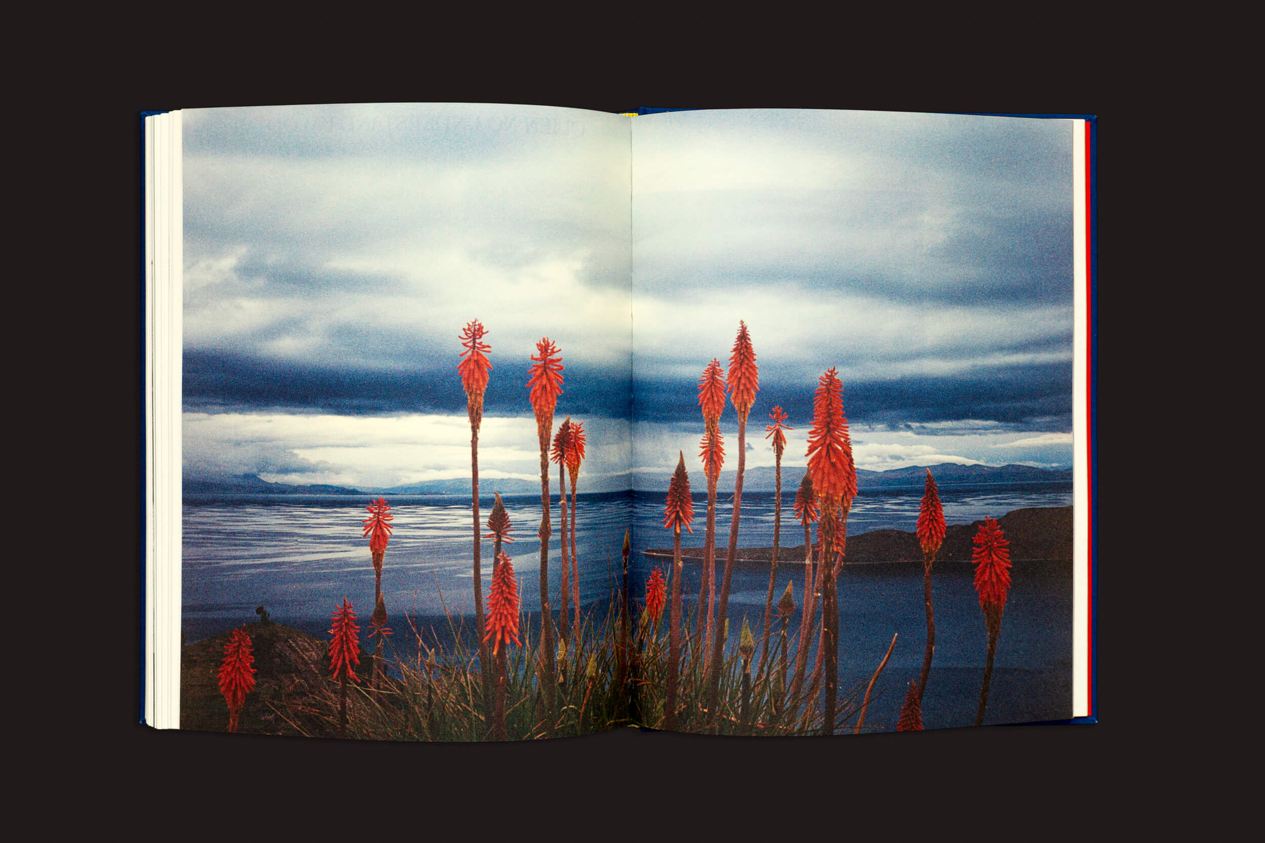 Um exemplar aberto de "Igor Morales: Em um Tritão me transformarei eventualmente", da Editora Madalena, mostra uma foto de altas flores vermelhas diante de um céu nublado e vastas águas, criando uma atmosfera calma e natural que evoca emoções suaves.