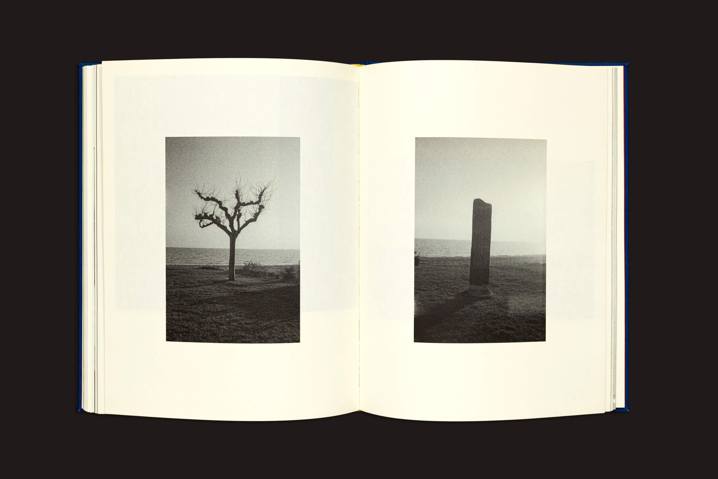 Um livro aberto, "Igor Morales: Em um Tritão me transformarei eventualmente", da Editora Madalena, revela duas fotos em preto e branco: uma árvore sem folhas à esquerda e uma pedra em pé na grama à direita, evocando solidão e atemporalidade.