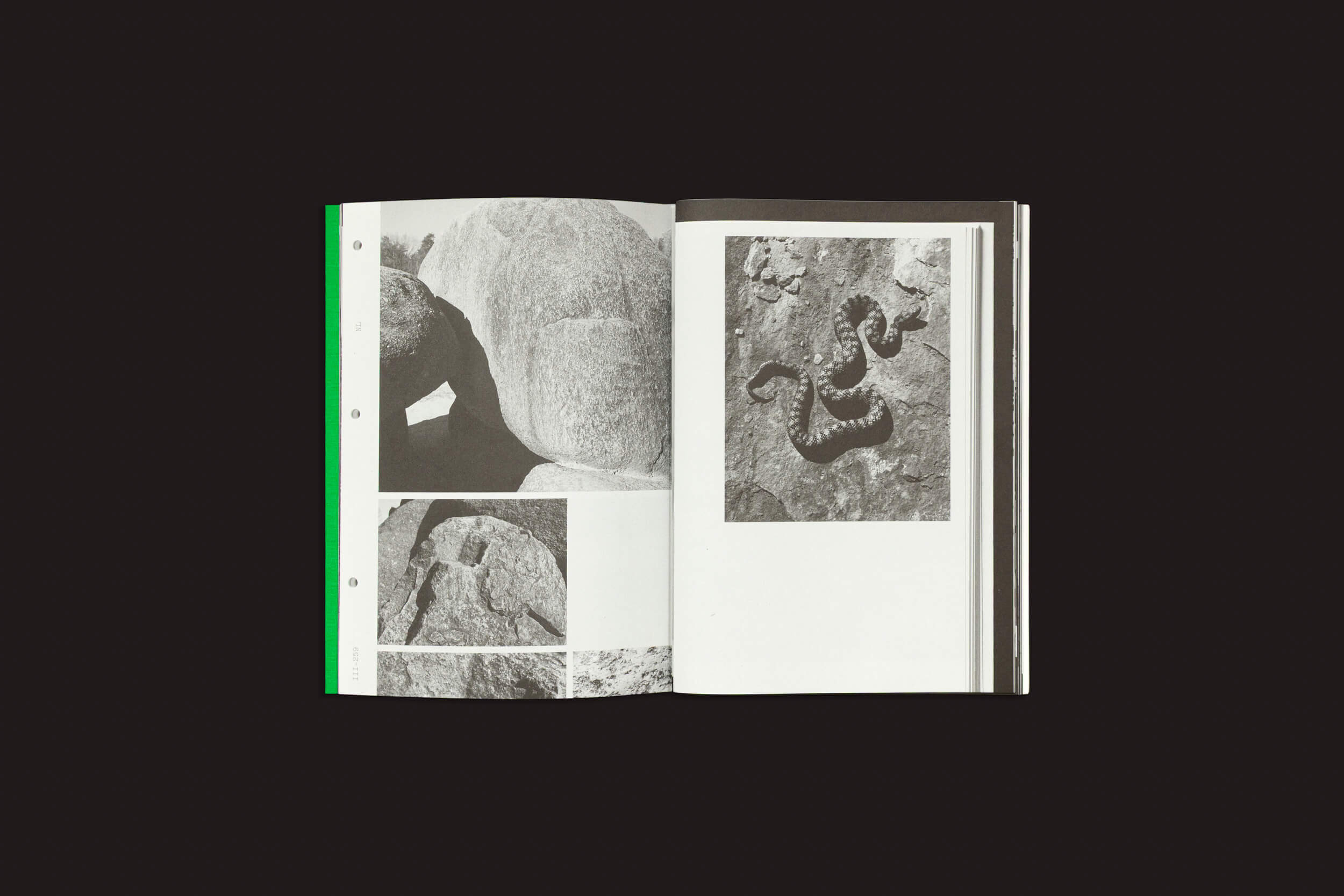 O livro aberto "Index Naturae: Vários Artistas" de Skinnerboox repousa sobre um fundo escuro, mostrando fotos de rochas em preto e branco à esquerda e uma cobra enrolada em rochas à direita; sua borda apresenta uma faixa verde, ecoando seu estilo de livros fotográficos.