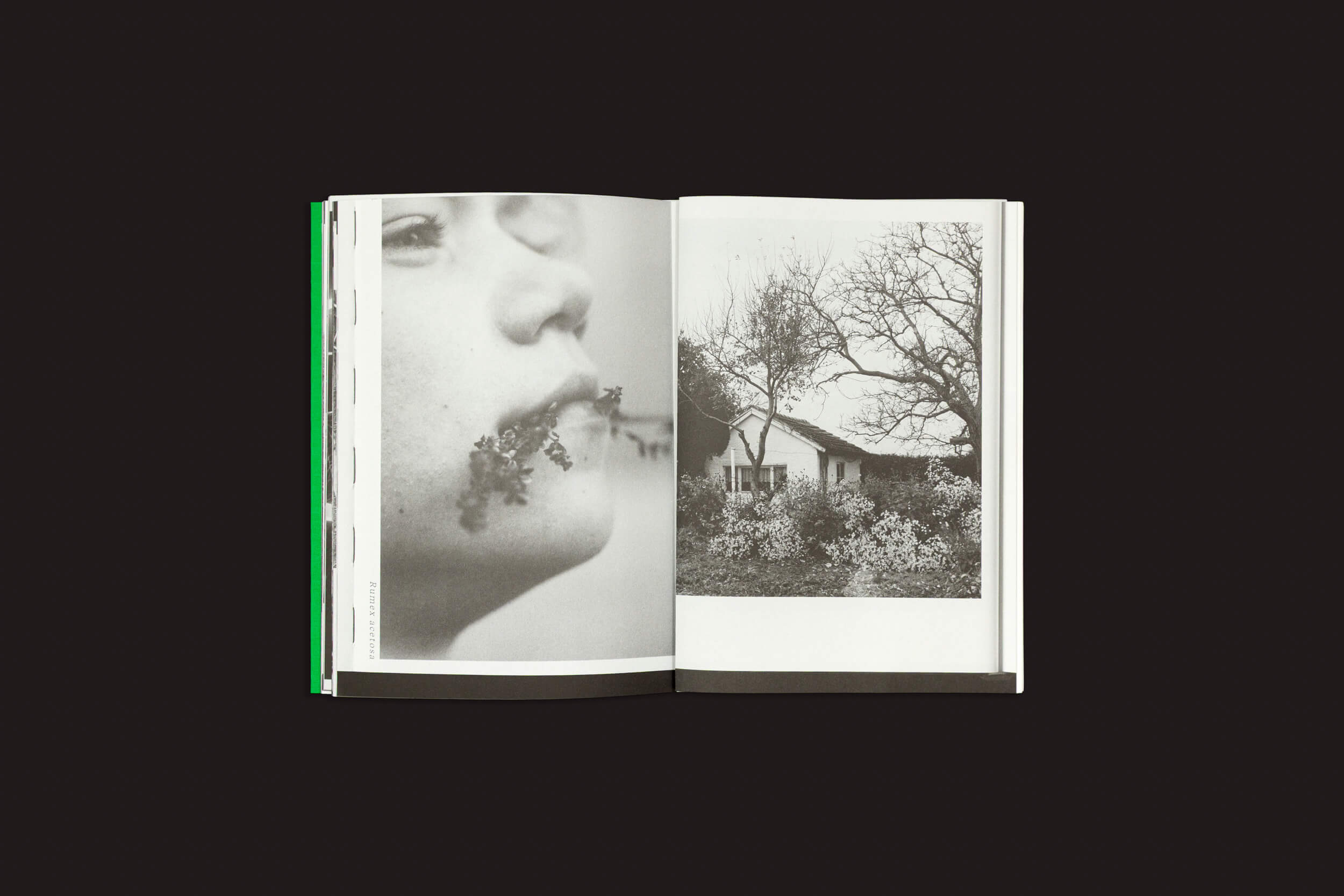 Um livro aberto de "Index Naturae: Vários Artistas", de Skinnerboox, apresenta duas fotos em preto e branco: à esquerda, o rosto de uma pessoa com galhos de árvores sobrepostos; à direita, uma casa cercada por árvores e arbustos nus.