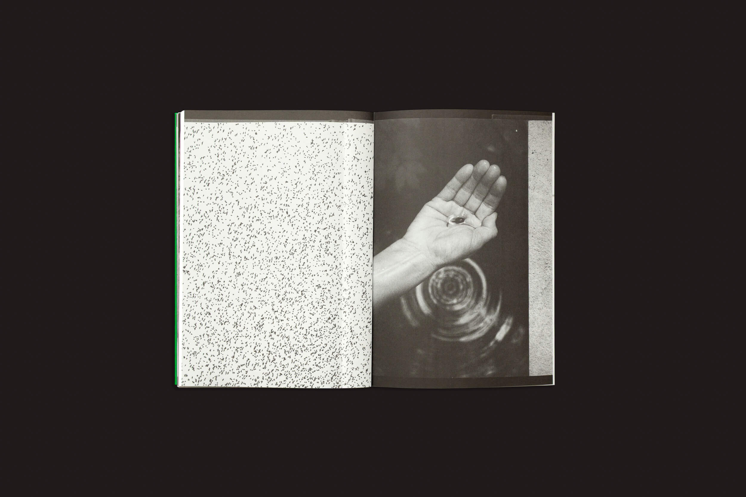 Um livro aberto — Index Naturae: Vários Artistas de Skinnerboox — mostra um padrão abstrato salpicado na página esquerda e uma foto em preto e branco de uma mão estendida sobre águas ondulantes à direita.