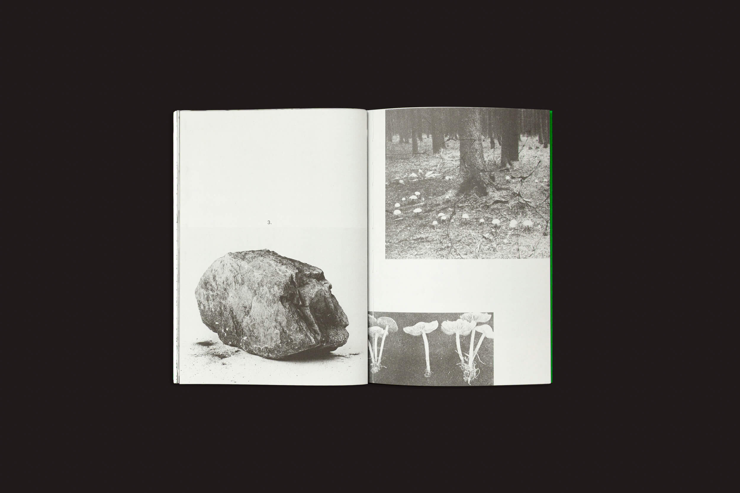 Index Naturae: Vários Artistas, de Skinnerboox, está aberto a três fotos em preto e branco — uma grande rocha, uma cena de floresta e cogumelos — com seu layout inspirado em livros fotográficos surpreendentemente posicionado contra um fundo preto sólido.