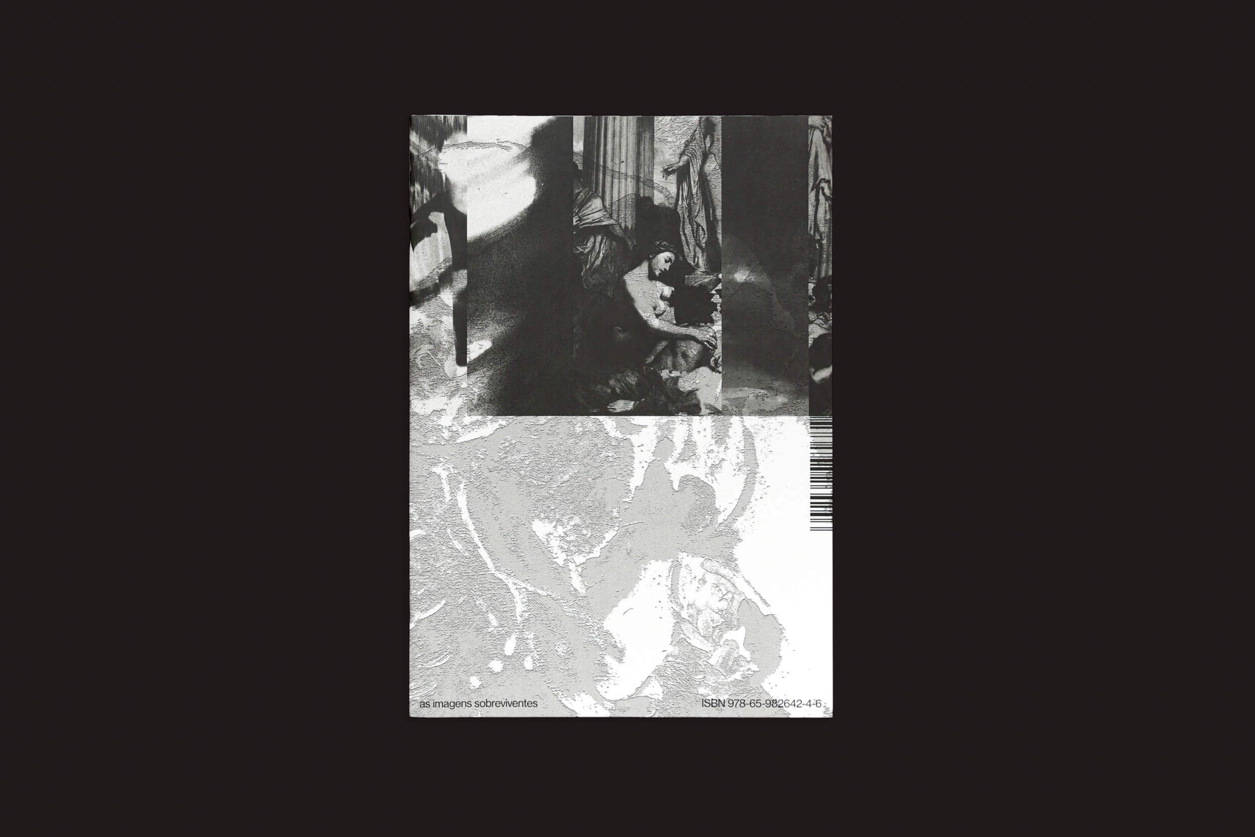 Romeu Silveira: The Surviving Images, da zero-Edições, é uma obra de arte em tons de cinza que retrata figuras históricas em iluminação fraca, apresentando formas e texturas abstratas com um código de barras e texto sutis, incorporando o ethos do projeto Contretemps.