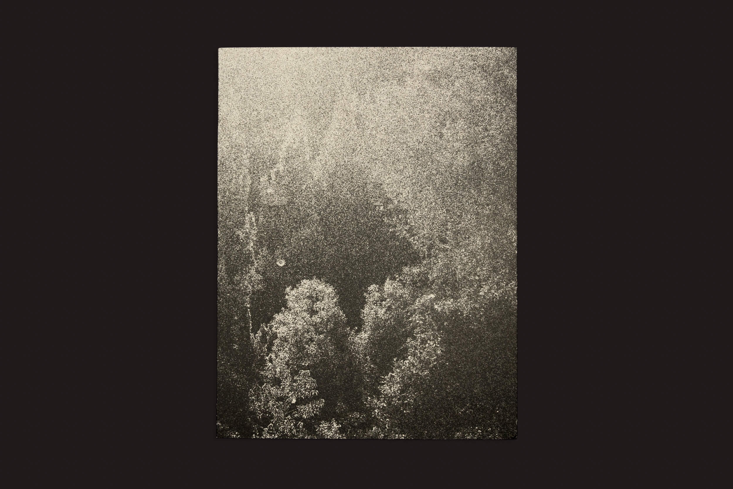 Pablo Cabado: Little Suns on Earth da Eriskay Connection apresenta uma impressão texturizada de uma paisagem florestal, com padrões abstratos e salpicados em cinza e bege contra um fundo escuro. Ela evoca uma atmosfera enevoada ou nevada entre árvores densas que lembram a Ilha Huemul.