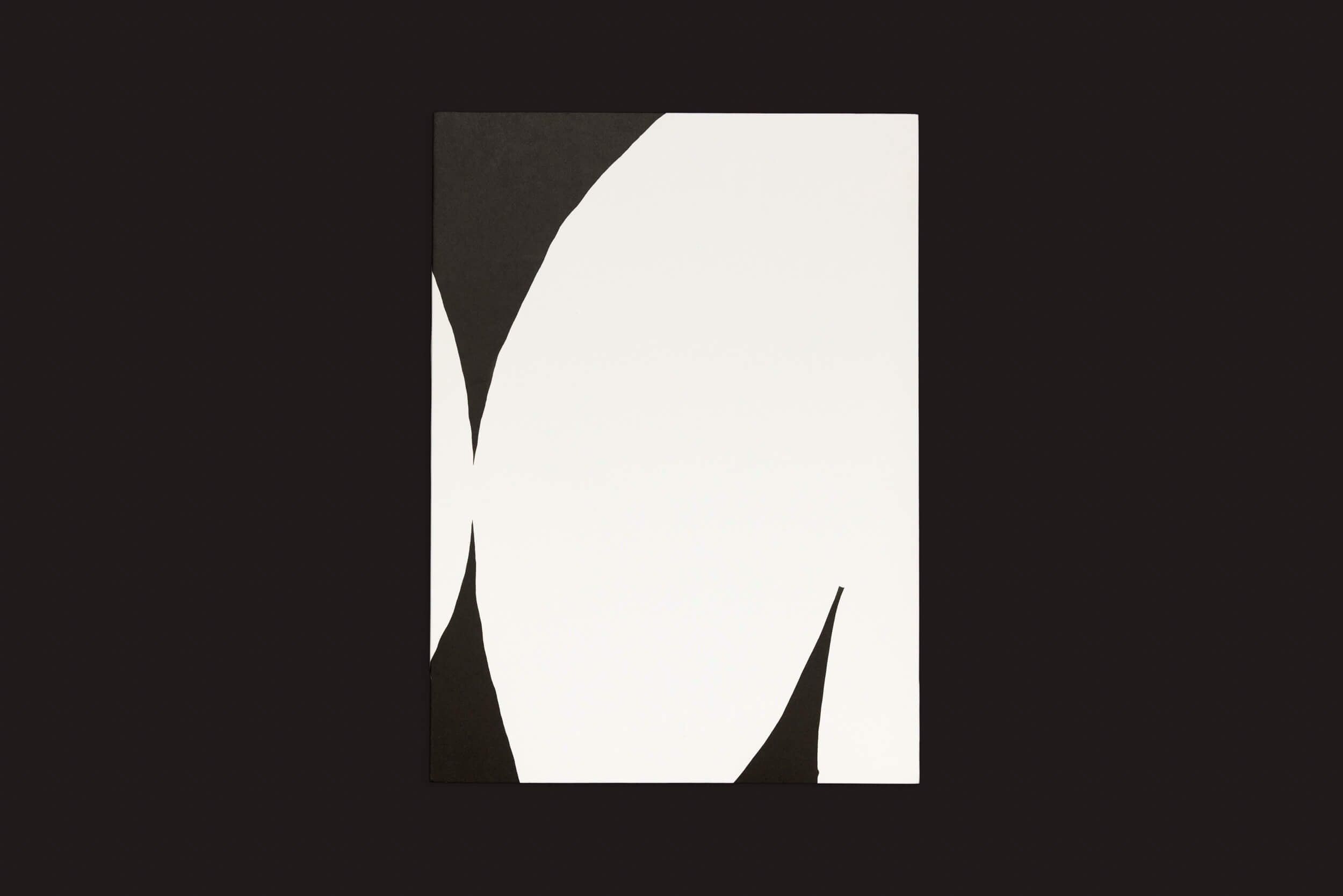 Imagem abstrata com formas pretas e brancas ousadas, semelhantes à arte moderna de uma exposição. Grandes áreas brancas formam curvas e ângulos contra um fundo preto, lembrando composições rígidas em Jochen Lempert: Paare / Pairs, da Roma Publications.