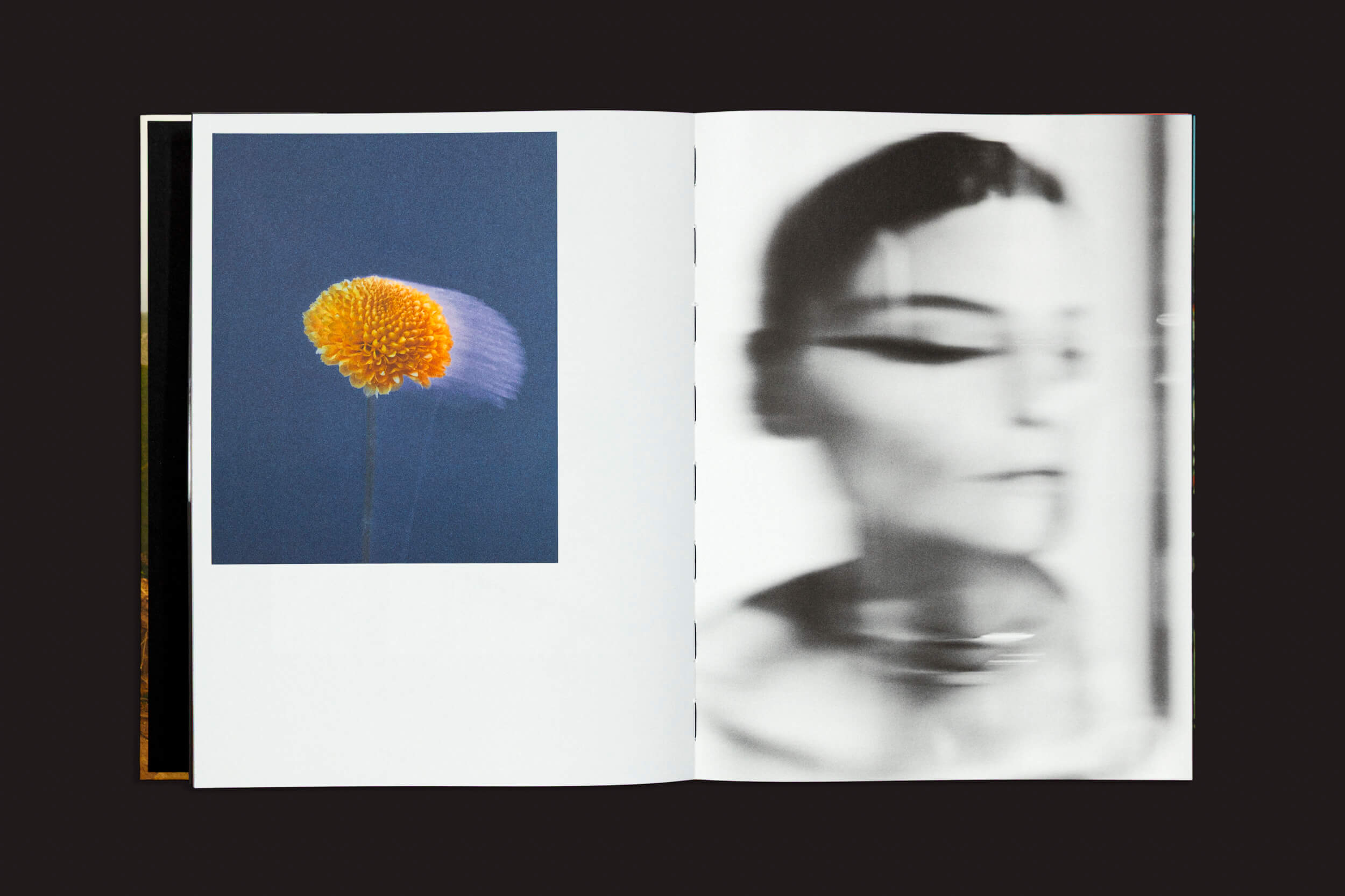 O livro aberto "Lorena Dini: Parei o tempo e pensei em você" da Autopublicado está sobre uma superfície escura. Sua página esquerda exibe uma flor laranja contra um fundo azul, capturando a beleza natural, enquanto a direita apresenta um retrato preto e branco borrado com maquiagem dramática, exalando arte de alta costura.