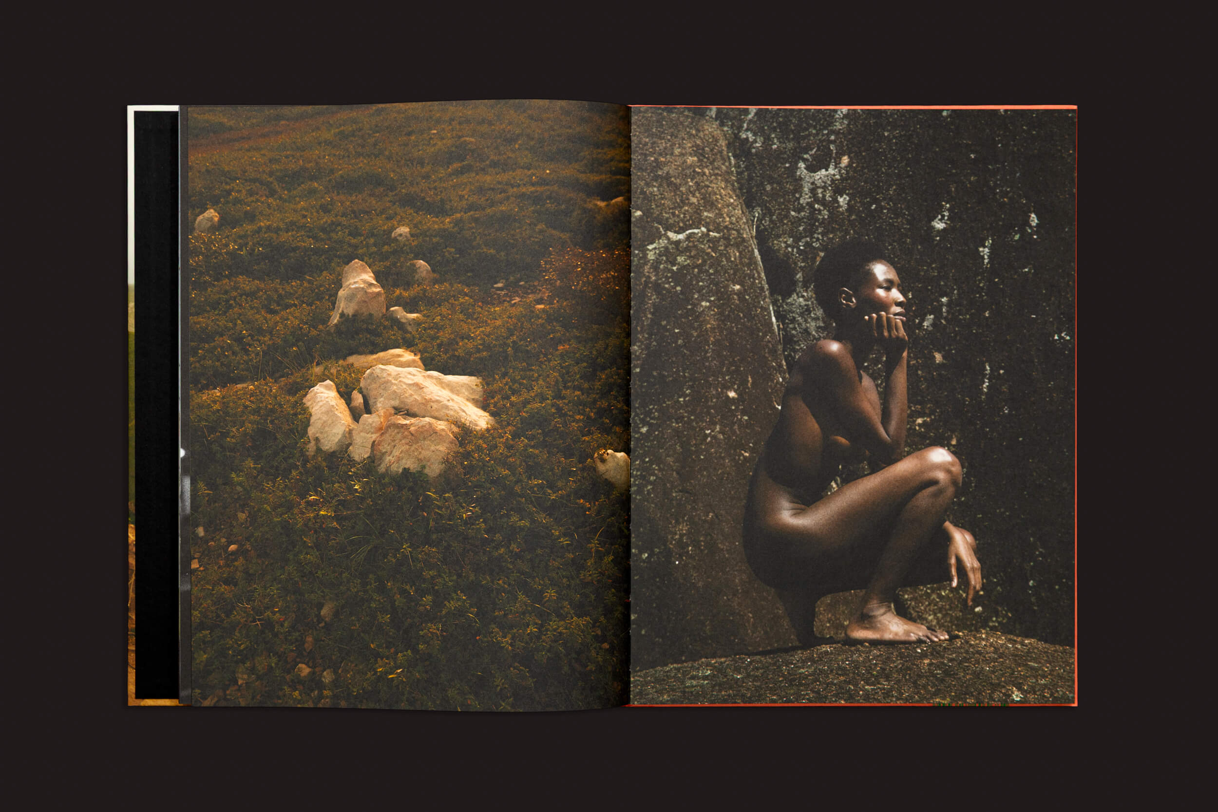 O livro aberto, "Parei o tempo e pensei em você", de Lorena Dini (Autopublicado), revela uma paisagem gramada com pedras espalhadas na página da esquerda, enquanto a da direita mostra uma pessoa sentada contra uma pedra, pensativa, como se estivesse posando para fotografias.