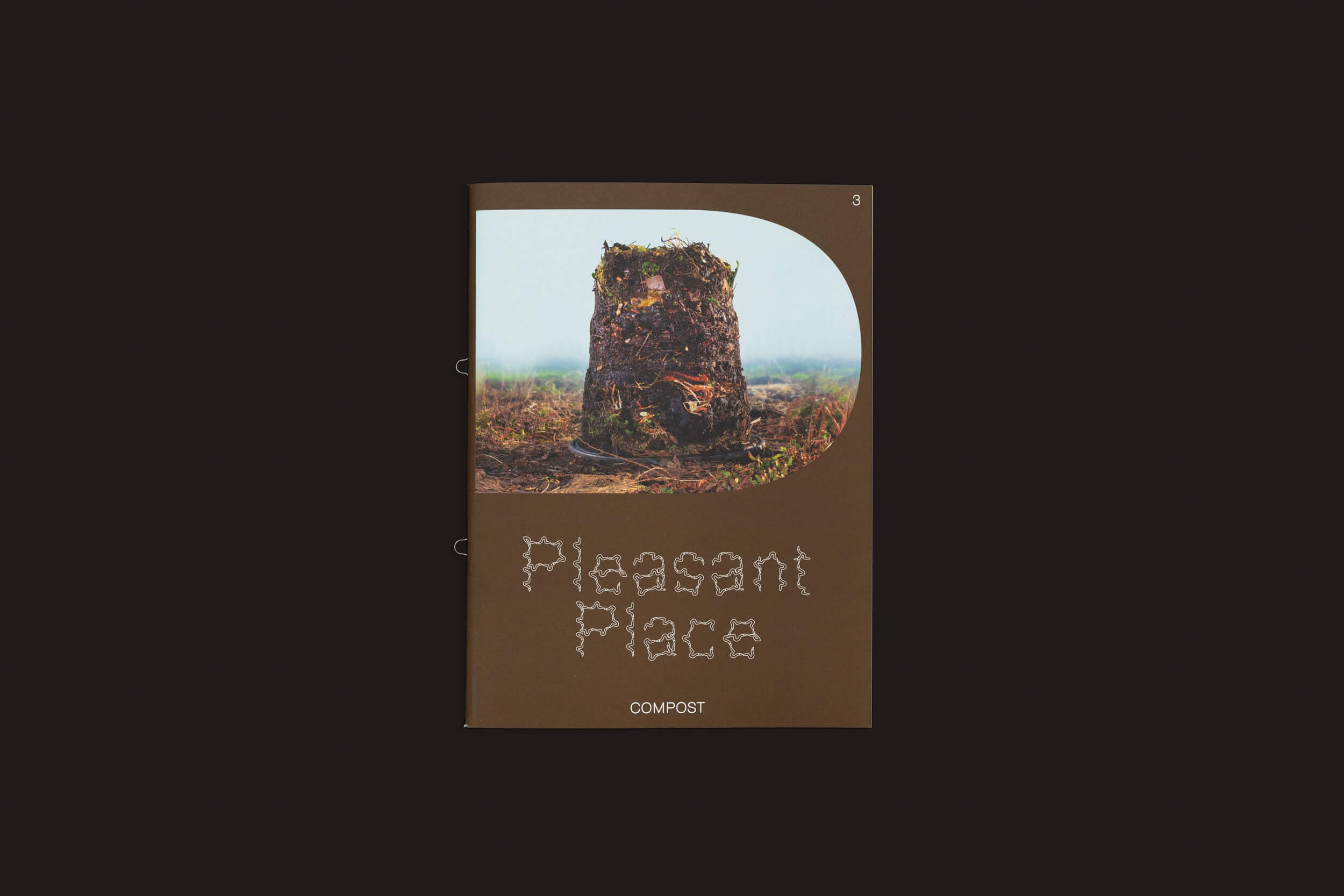 A capa de Pleasant Place 3: Compost da Pleasant Place exibe uma foto de uma pilha de composto rural intitulada Compostagem, evocando arte vegetal. Um fundo preto simples acrescenta elegância.