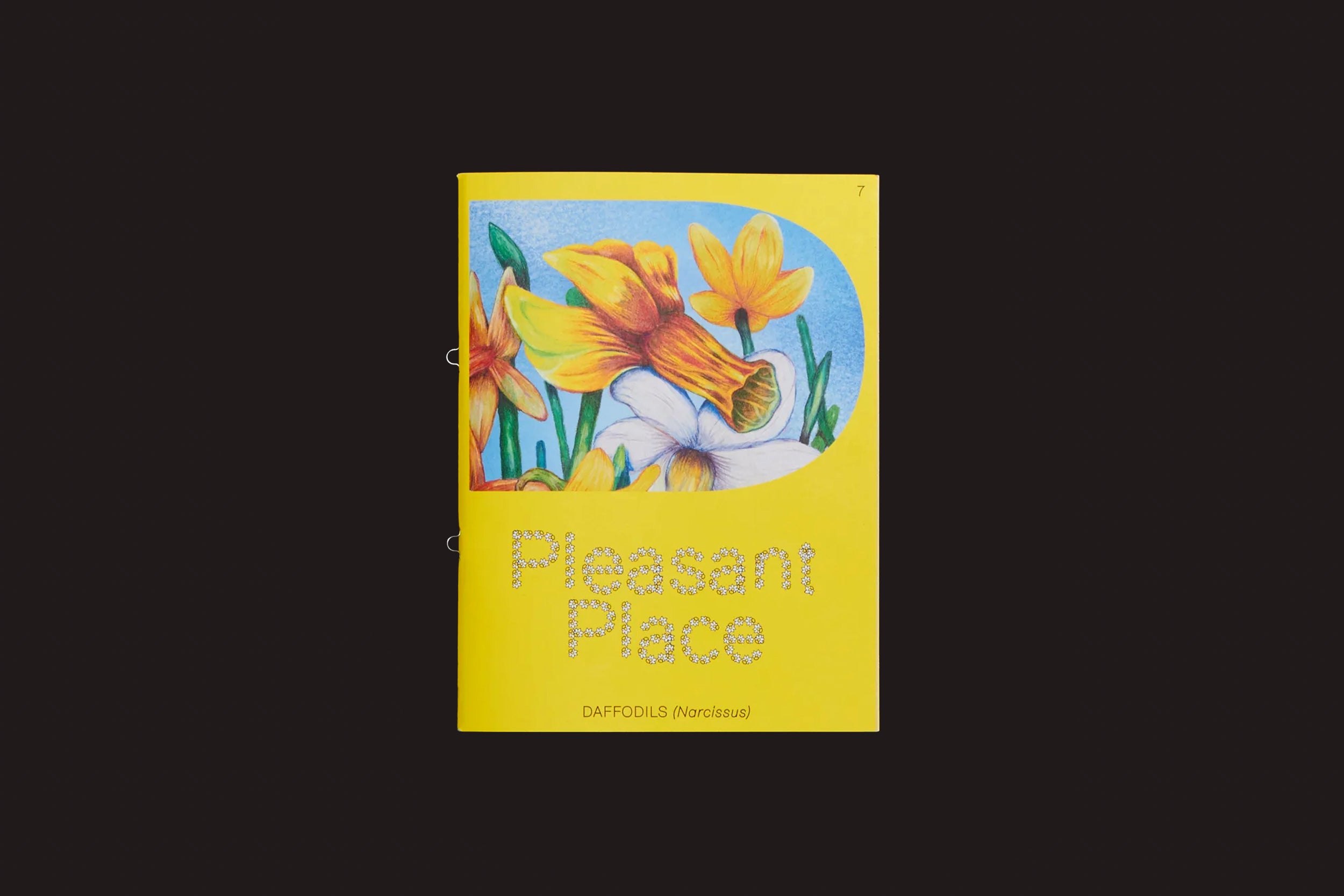 Pleasant Place 7: Daffodils (Narcissus) da Pleasant Place é um livreto amarelo brilhante com narcisos ilustrados na capa em um fundo preto, com o subtítulo "DAFFODILS (gênero Narcissus).