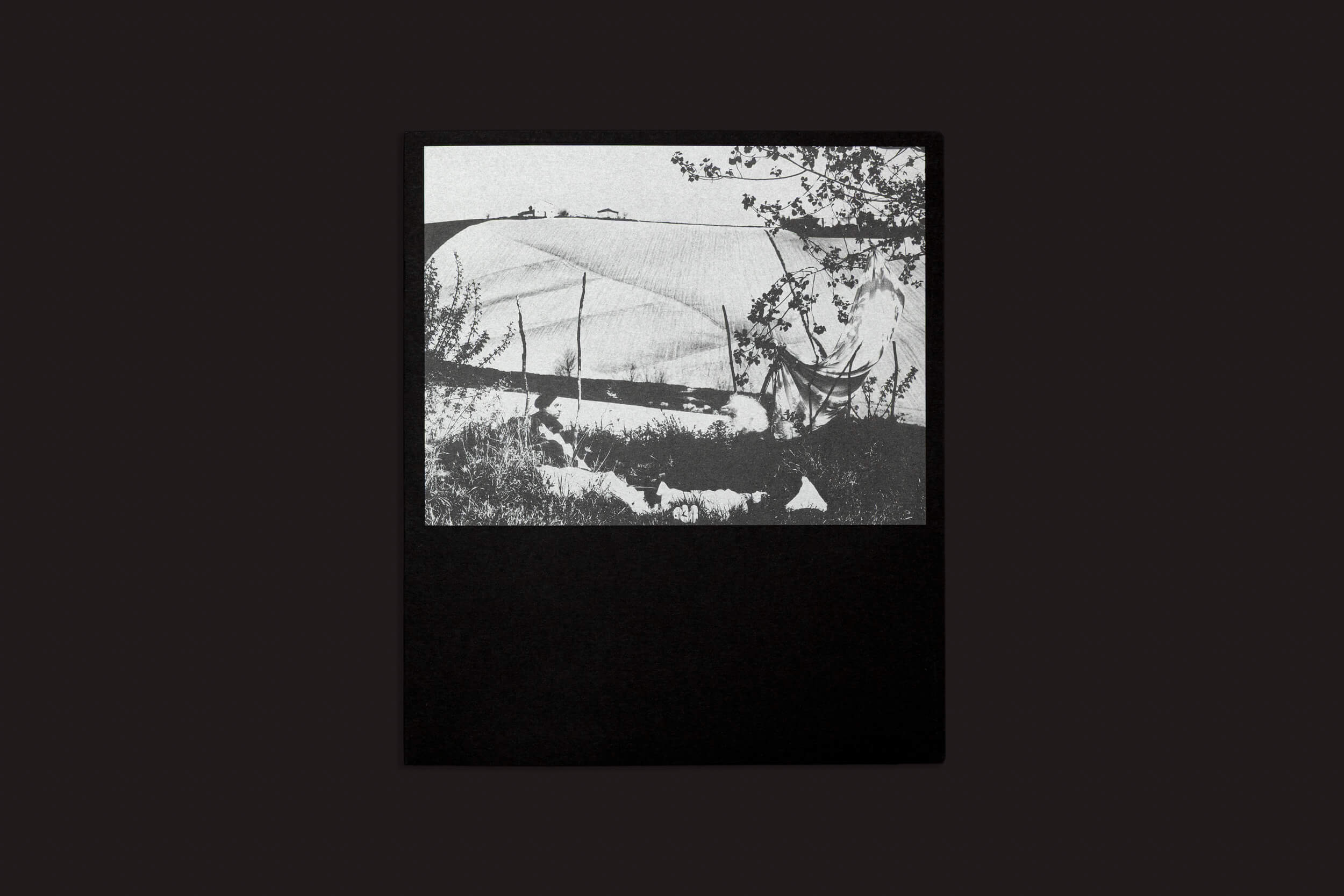 Uma foto em preto e branco com padrões abstratos e formas indefinidas, evocando o estilo artístico de Mario Giacomelli, semelhante a "Mario Giacomelli: Questo ricordo lo vorrei raccontare" de Skinnerboox, contra um fundo preto sólido.