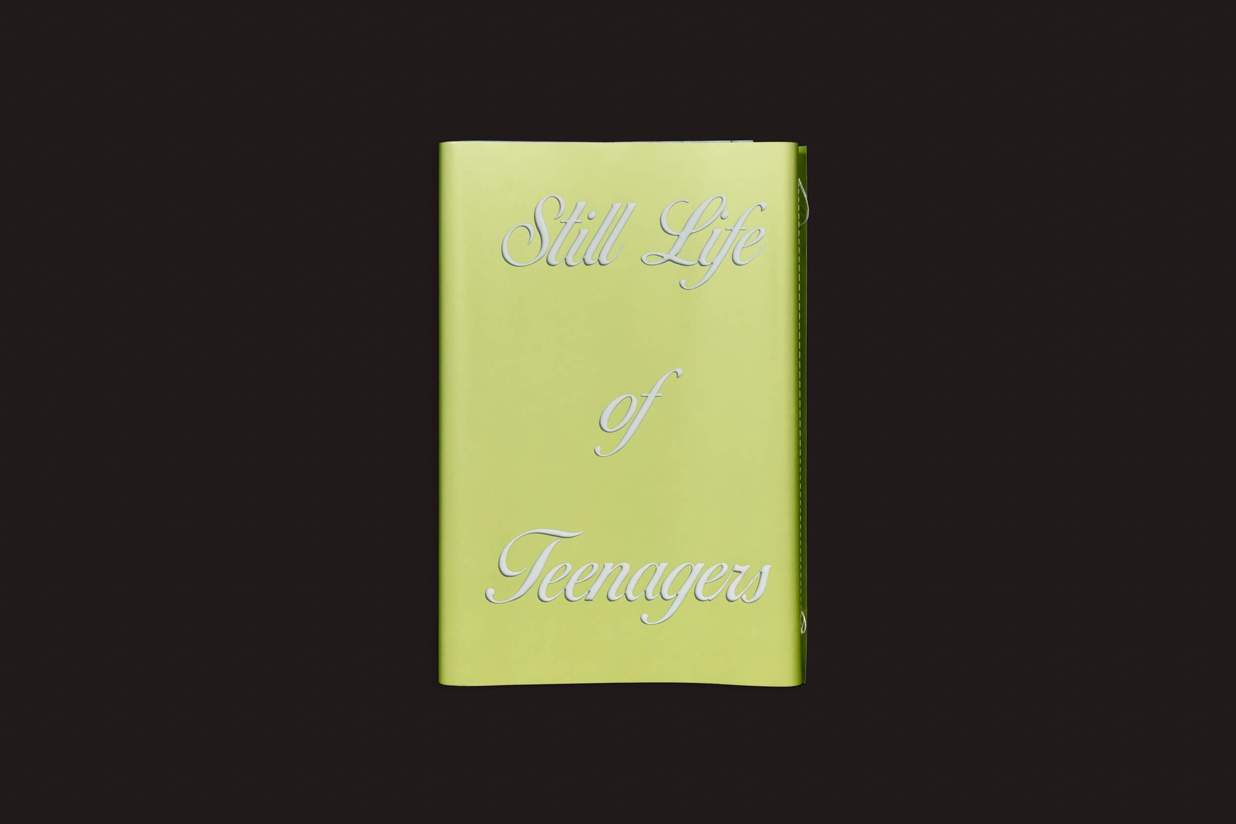 O livro de Barbara Marstrand, Still Life of Teenagers, de Disko Bay, apresenta um título verde-limão em letra cursiva branca em sua capa preta sólida e captura a essência da cultura jovem dinamarquesa.