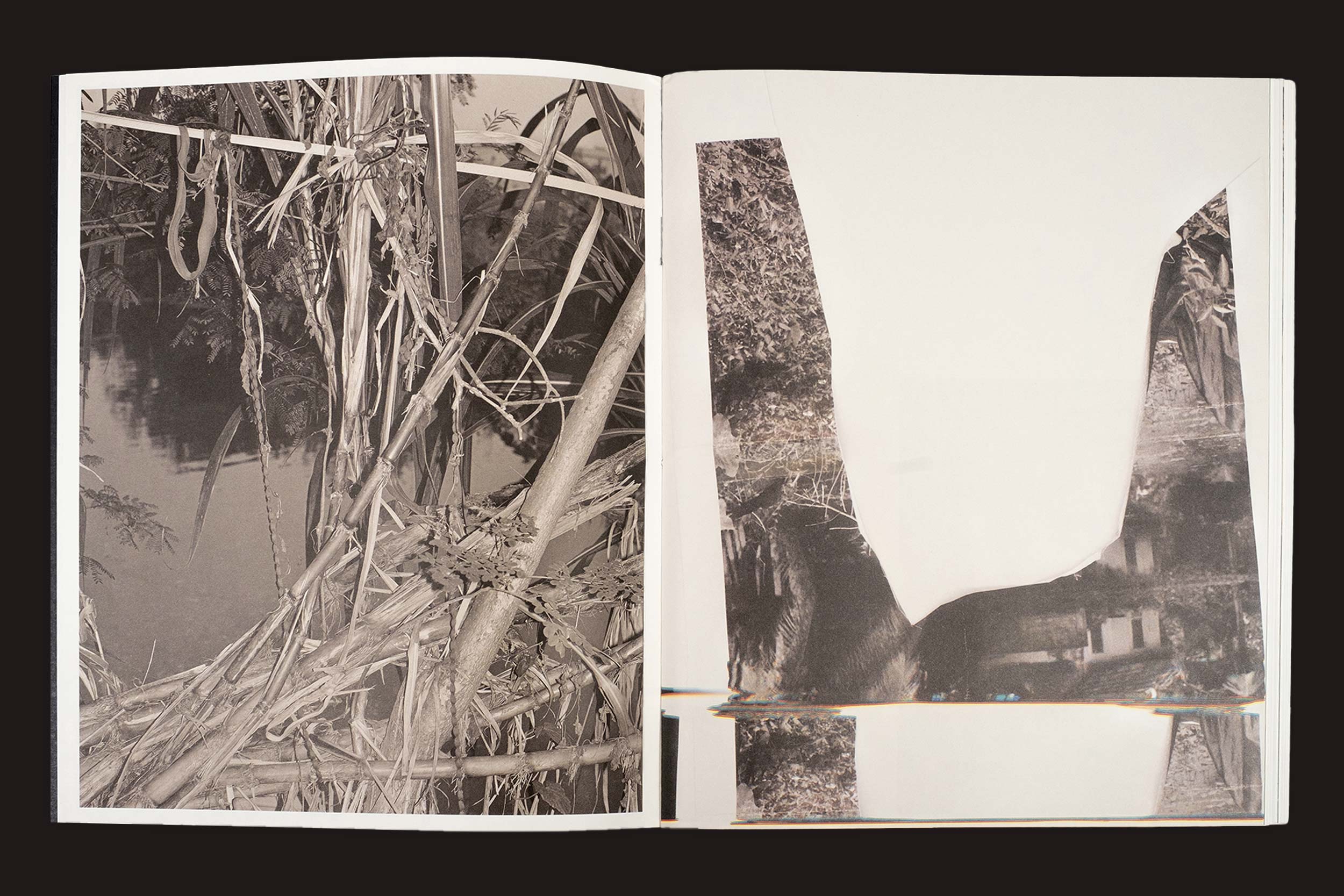 O livro aberto "Bharat Sikka: Ripples in the Pond", da Fw:Books, mostra duas imagens em preto e branco - uma de caules densos de plantas na água e outra de uma colagem rasgada que mistura folhagem com uma casa e reflexos.