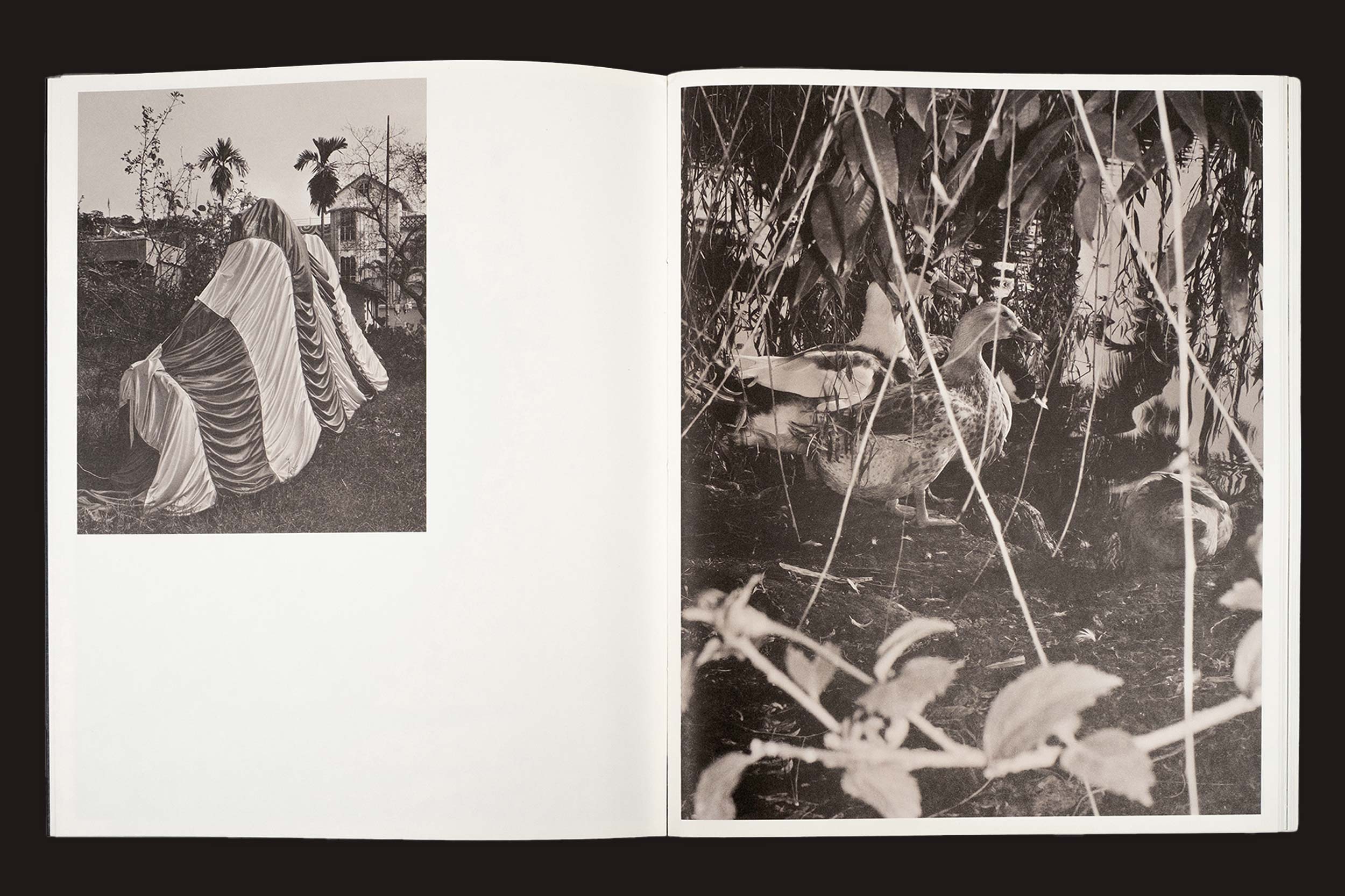 Um livro aberto - Bharat Sikka: Ripples in the Pond, da Fw:Books - mostra uma foto em preto e branco de duas formas listradas drapeadas ao ar livre na página esquerda e uma cena de jardim frondoso com plantas e galhos densos na direita.
