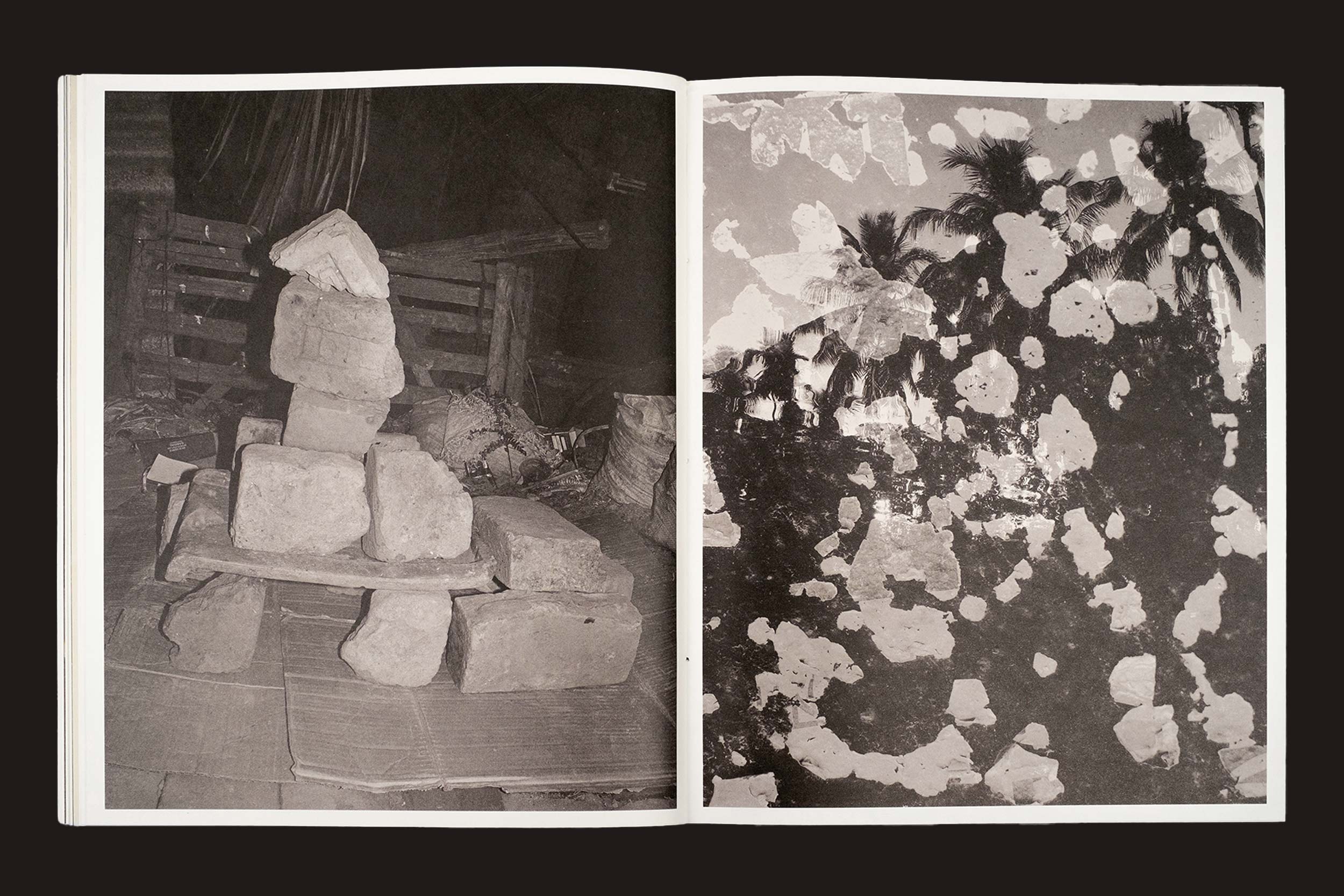 Em "Bharat Sikka: Ripples in the Pond", da Fw:Books, uma página aberta revela tijolos empilhados em uma foto em preto e branco à esquerda e uma imagem de palmeira desgastada e manchada ao ar livre à direita - investigações fotográficas sutis.