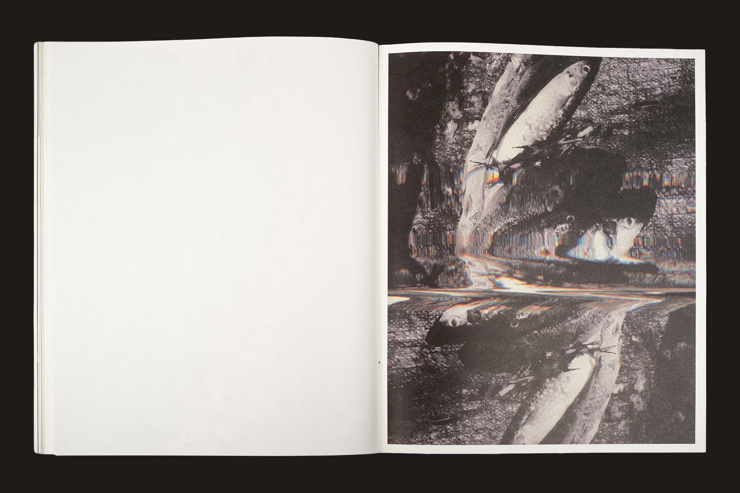 Um livro aberto - Bharat Sikka: Ripples in the Pond, da Fw:Books - mostra uma página esquerda em branco e, à direita, uma imagem abstrata ondulada em preto e branco que lembra um peixe e lagoas tranquilas de uma pesquisa fotográfica.