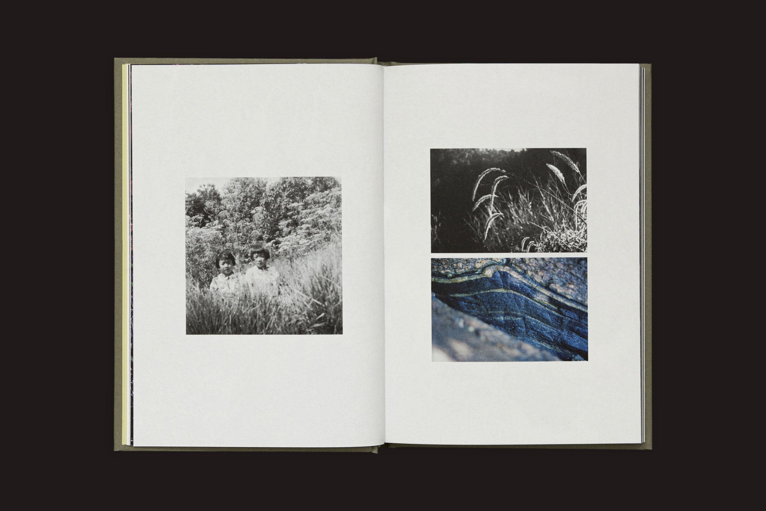 Em "Akira Kodato & Yuji Kodato: Butsudan", do Selo Turvo, um livro aberto revela três imagens: à esquerda, uma foto em preto e branco de três pessoas em meio à grama alta; à direita, fotos da flora da montanha e close-up de camadas de rocha em tons de azul.