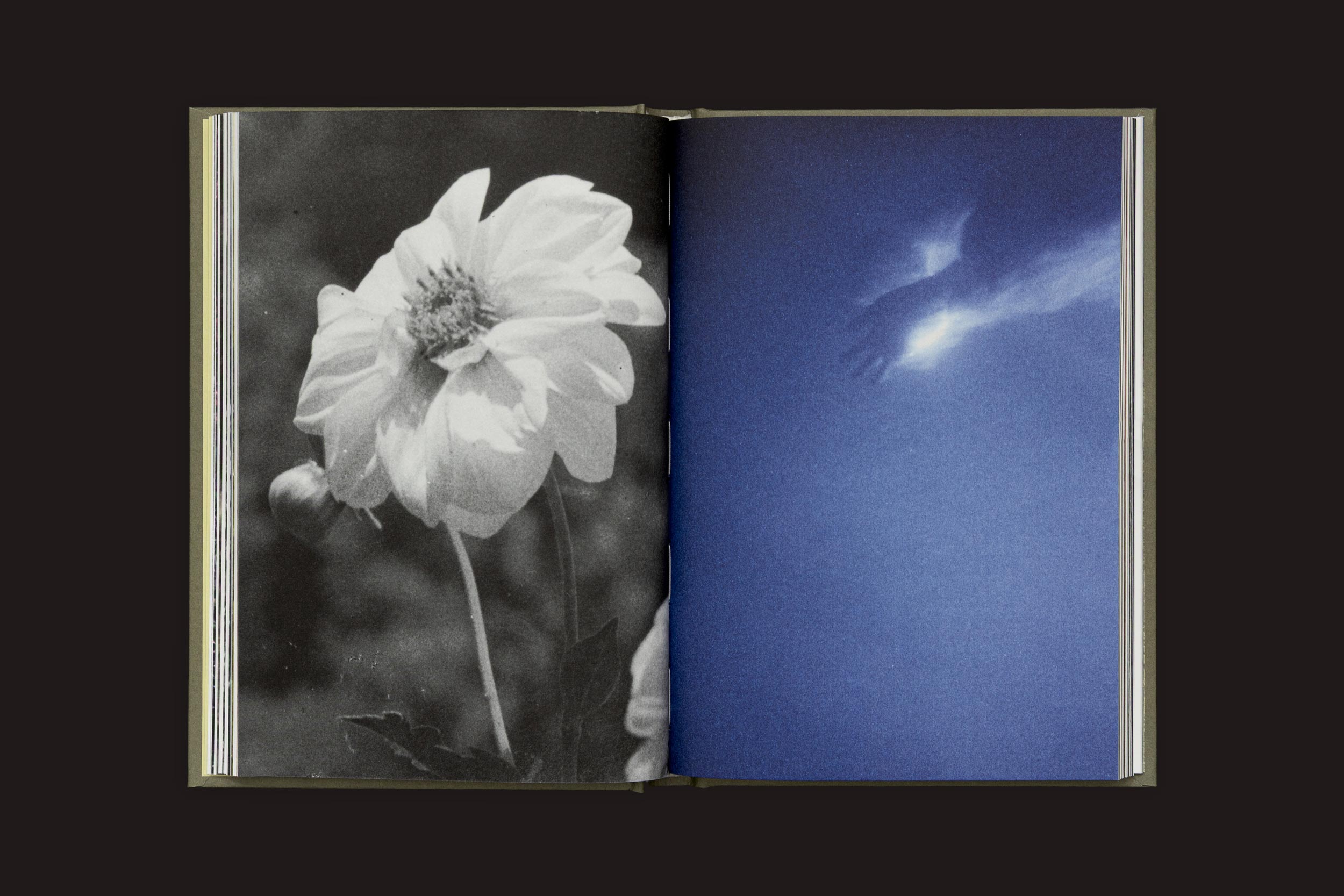Um livro aberto, "Akira Kodato & Yuji Kodato: Butsudan", de Selo Turvo, mostra uma foto em preto e branco da flora da montanha à esquerda e uma mão alcançando uma luz brilhante em um céu azul profundo à direita, evocando memórias de herança.