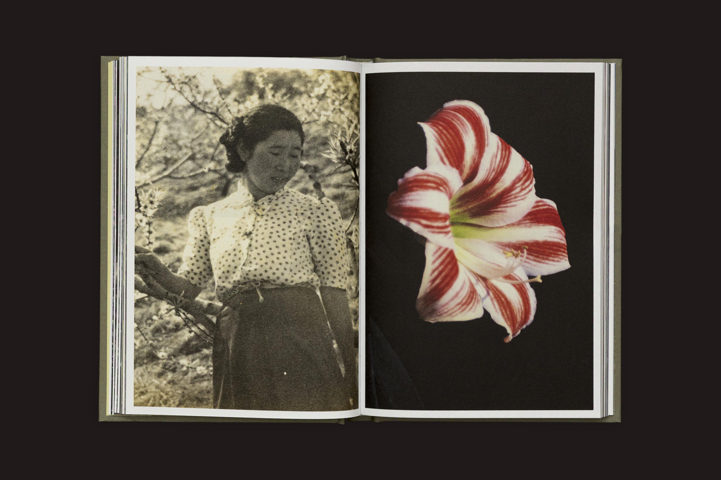 Um livro aberto, Akira Kodato & Yuji Kodato: Butsudan by Selo Turvo, exibe uma mulher com uma blusa de bolinhas à esquerda e um close-up da flora de montanhas de lírios com listras vermelhas e brancas sobre preto à direita, evocando memórias de heranças.