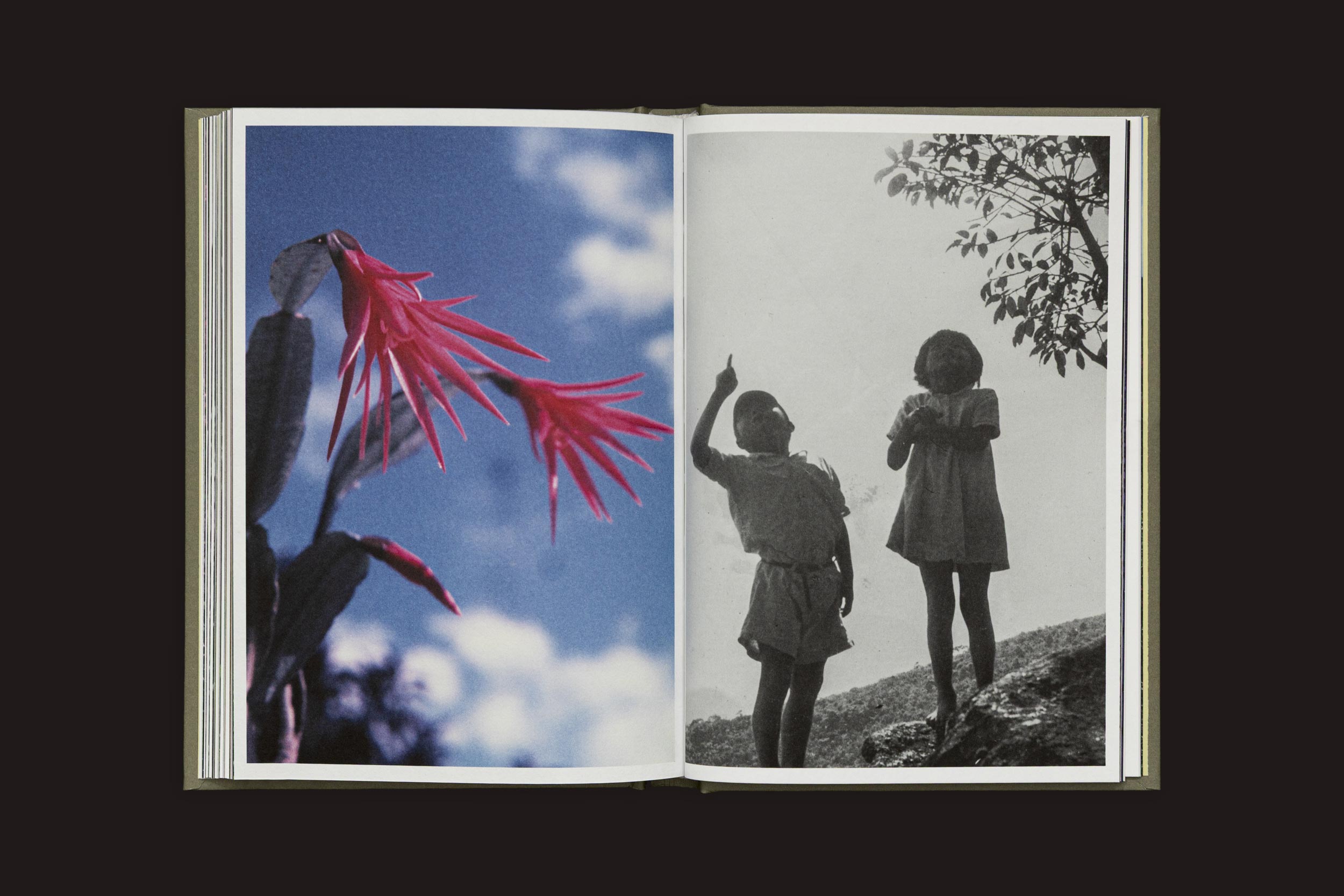 Um livro aberto, Akira Kodato & Yuji Kodato: Butsudan by Selo Turvo, mostra uma foto colorida da flora tropical rosa de montanhas à esquerda e uma imagem em preto e branco de duas crianças ao ar livre, uma delas apontando para cima - um vislumbre das memórias de heranças.