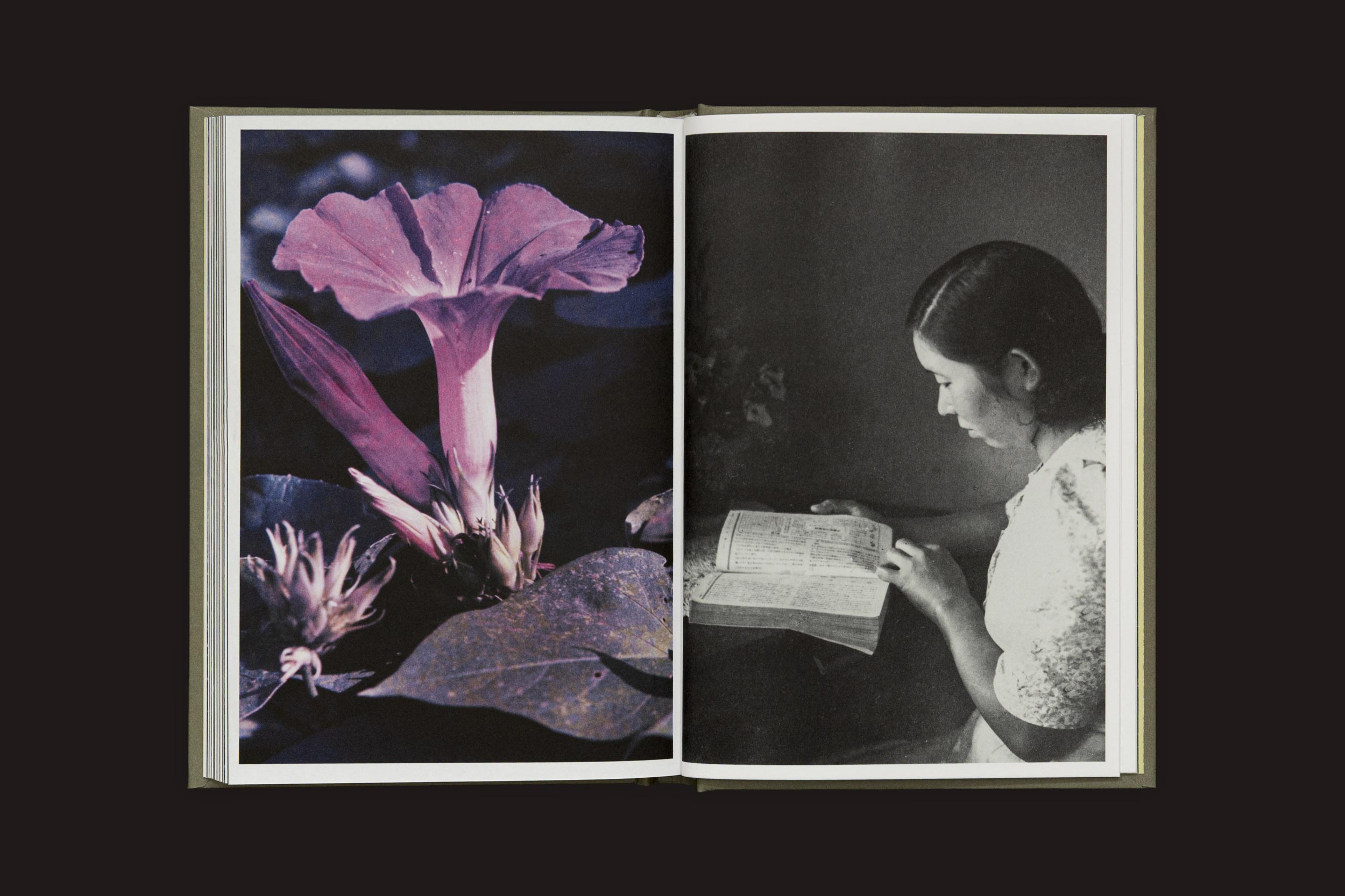 Um livro aberto em duas páginas: a esquerda mostra um close-up da flora com uma flor roxa; a direita mostra uma mulher de perfil escrevendo memórias. Produto: Akira Kodato & Yuji Kodato: Butsudan por Selo Turvo.