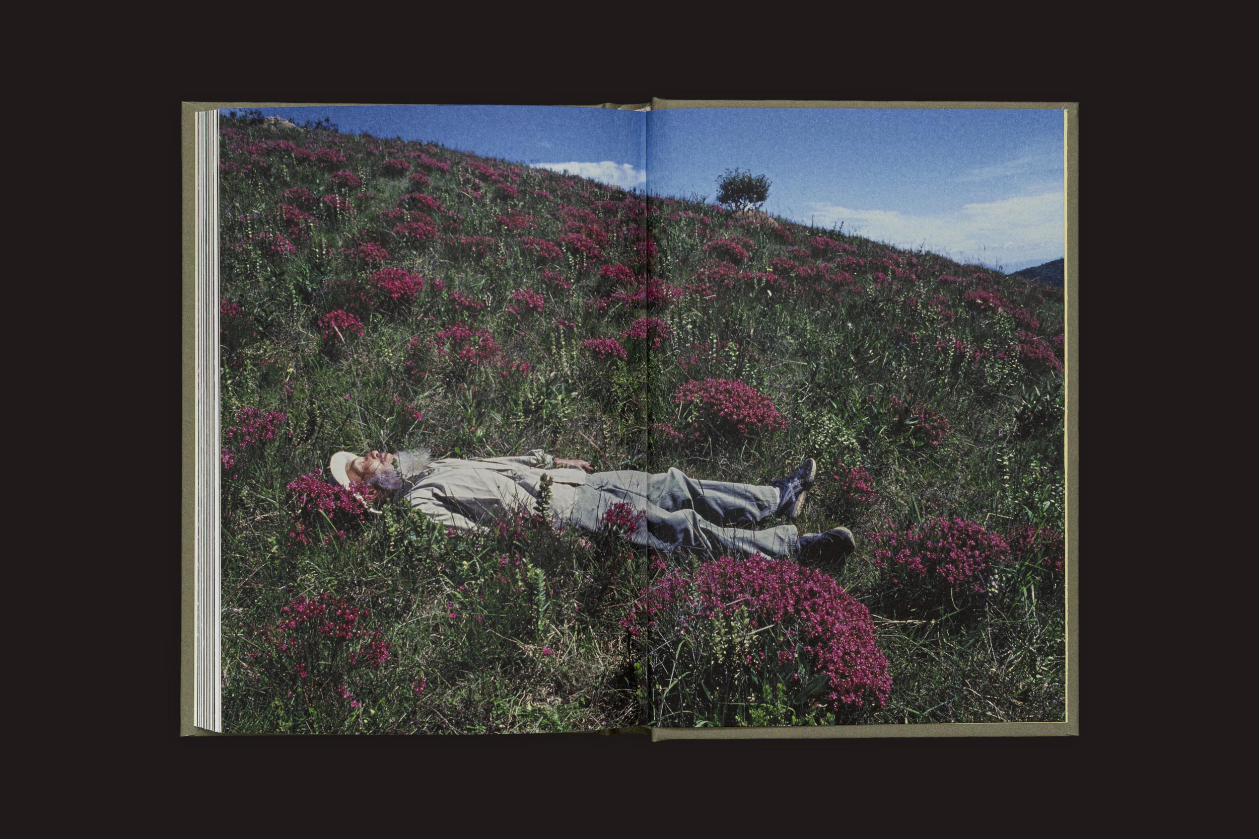 Uma cópia aberta de "Akira Kodato & Yuji Kodato: Butsudan", de Selo Turvo, revela uma foto de alguém deitado na grama e em flores roxas sob um céu parcialmente nublado, evocando lembranças da flora das montanhas e de heranças queridas.