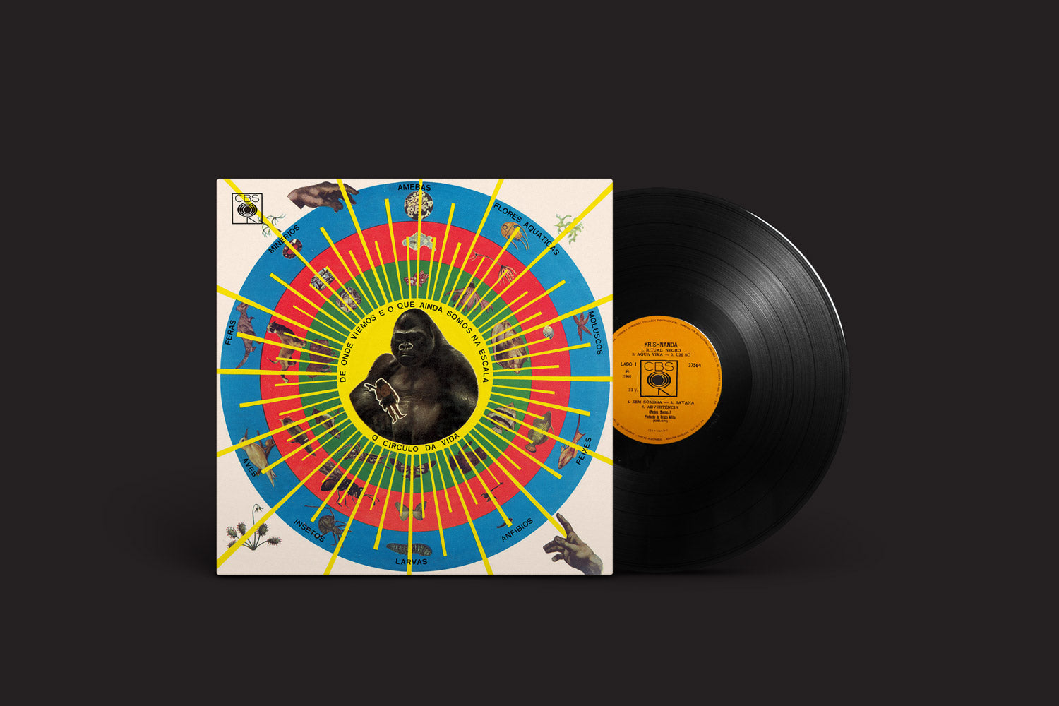 Pedro Santos: Krishnanda – GOMA®