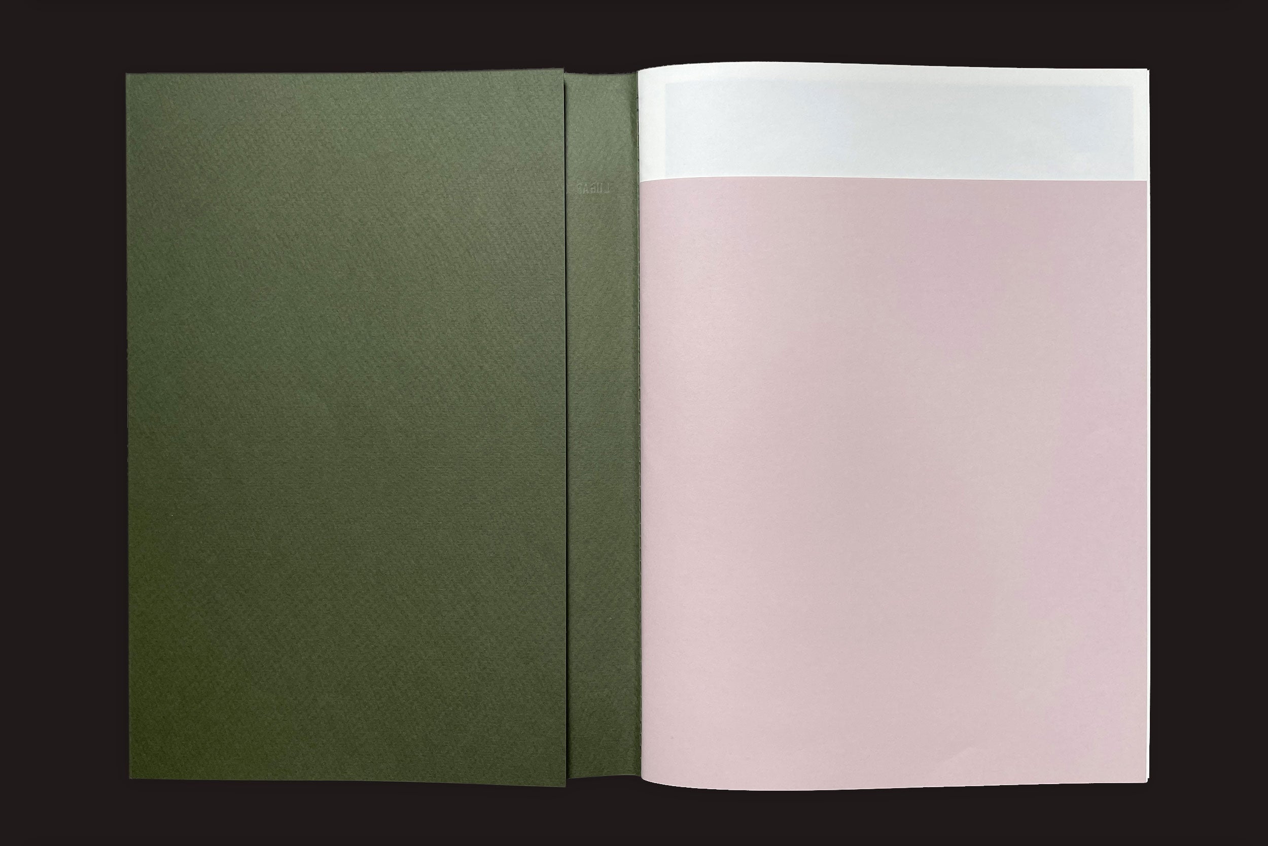 Um livro aberto com capa verde-escura, mostrando uma primeira página rosa-clara com uma faixa branca, repousa sobre o preto, lembrando Felipe Russo: Lugar Dito por Auto-edição e evocando objetos de fazendas abandonadas no Vale do Rio Aveyron.