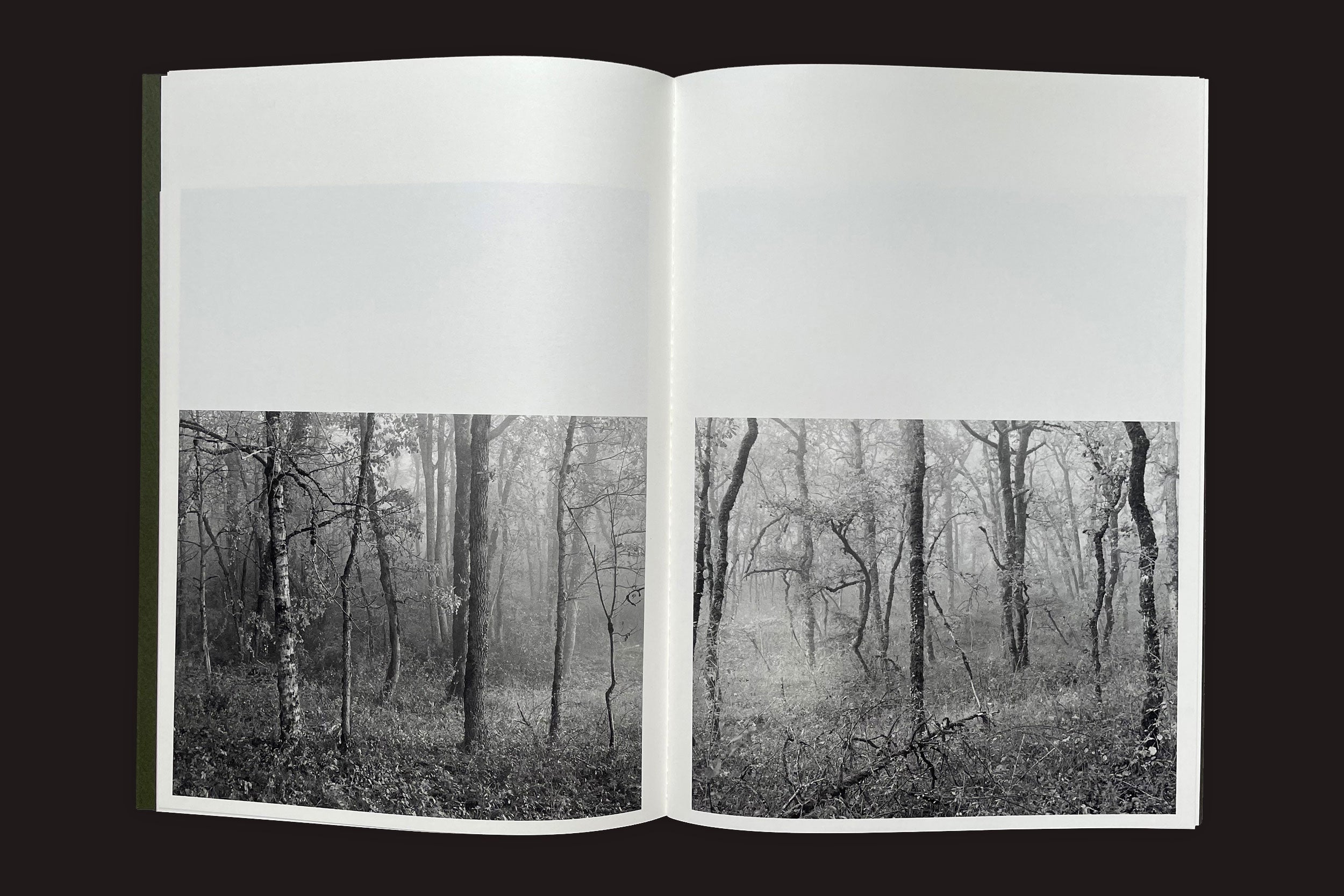 Um livro aberto de Felipe Russo: Lugar Dito by Auto-edição exibe uma foto em preto e branco de uma floresta enevoada com árvores altas e sem folhas e vegetação rasteira esparsa, abrangendo ambas as páginas.