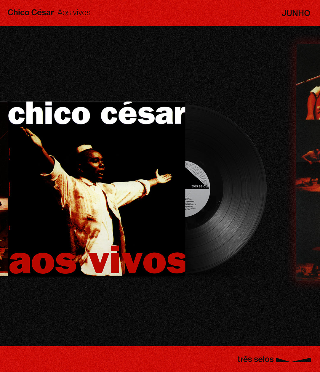 Chico Cesar: Aos Vivos